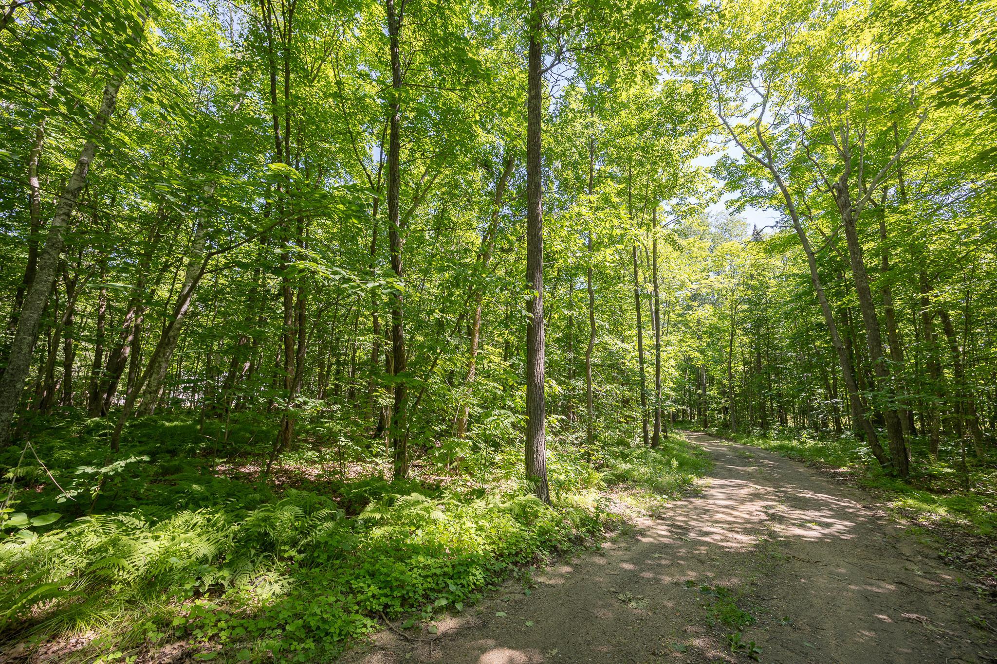 TBD County 5, Hackensack, MN 56452