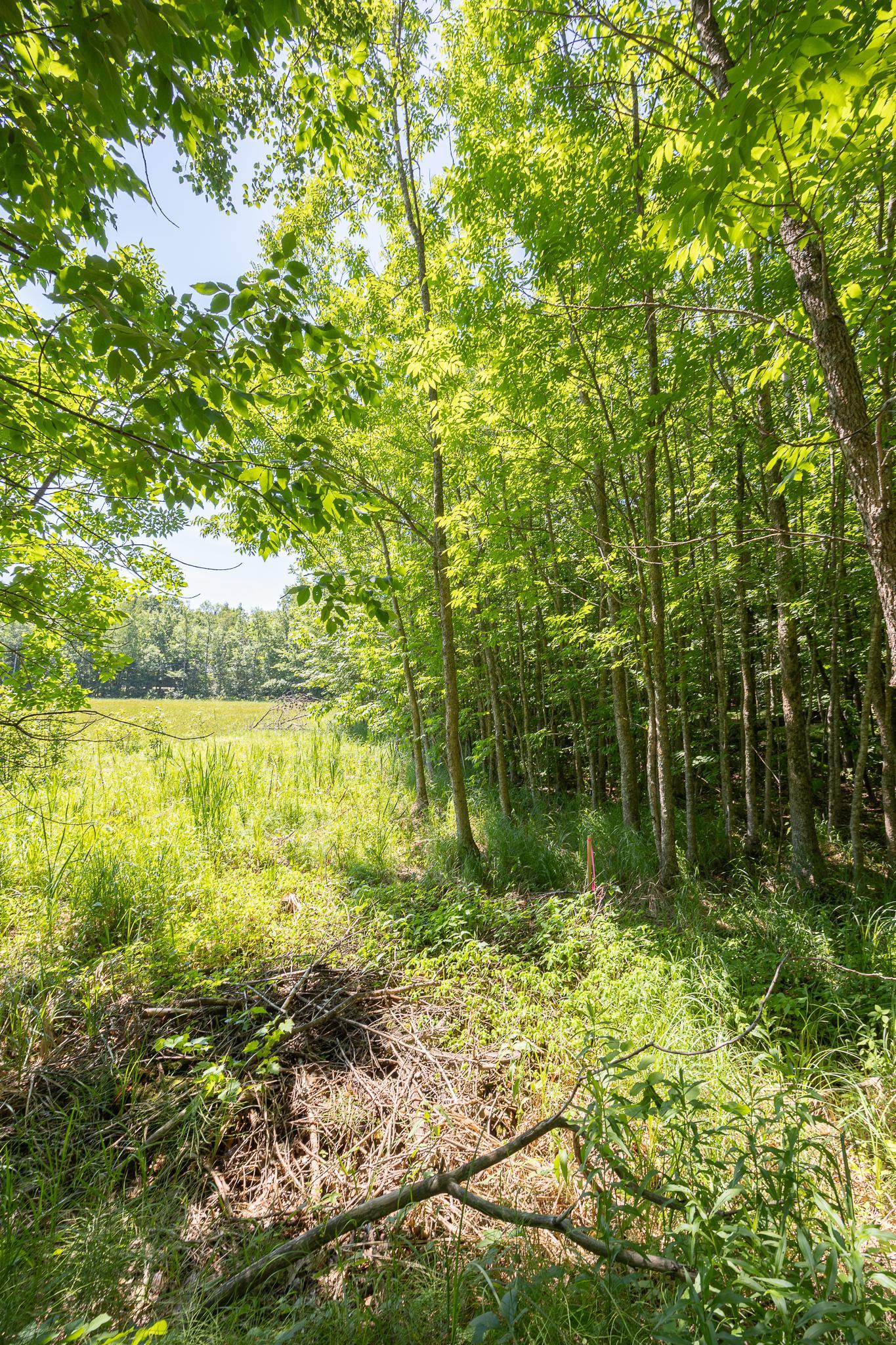 TBD County 5, Hackensack, MN 56452