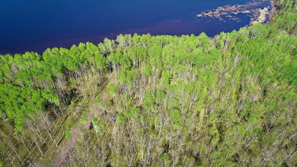 Lot 11 - TBD Driftwood Ln NW, Baudette, MN 56623
