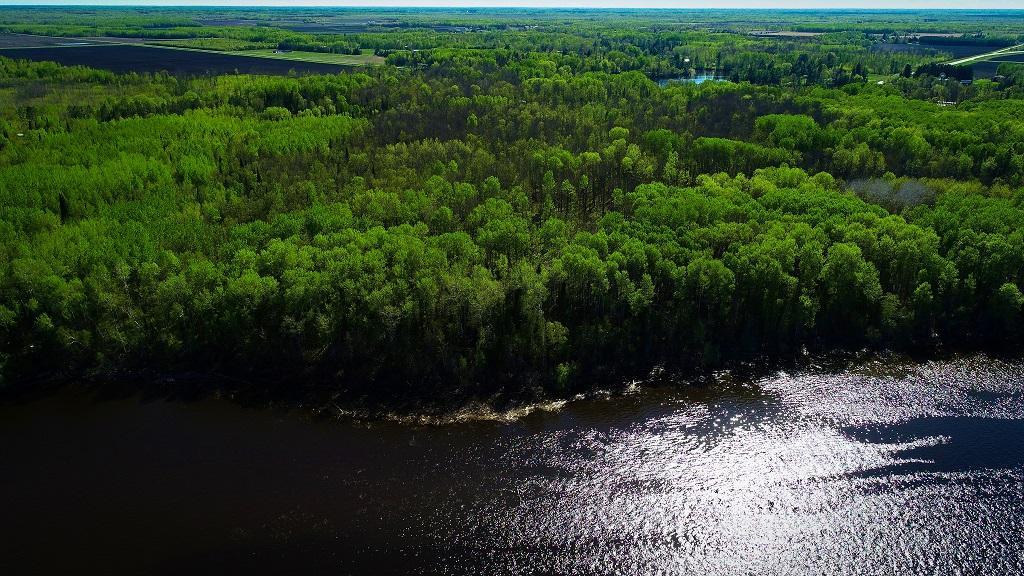 Lot 12 - TBD Driftwood Ln NW, Baudette, MN 56623
