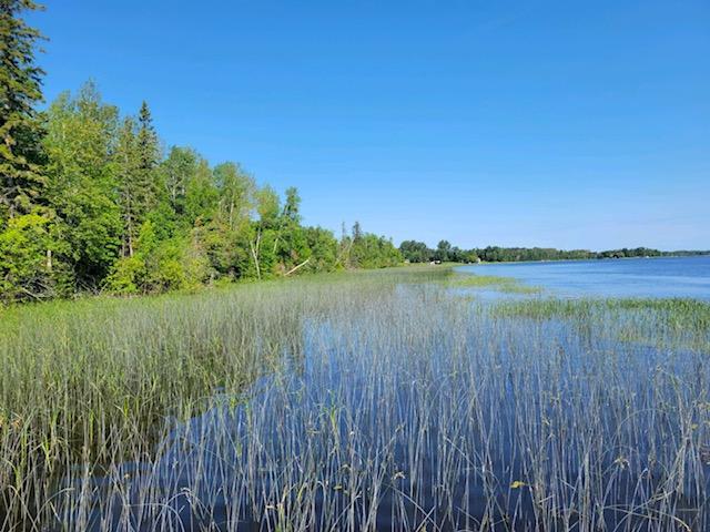 Lot 12 - TBD Driftwood Ln NW, Baudette, MN 56623