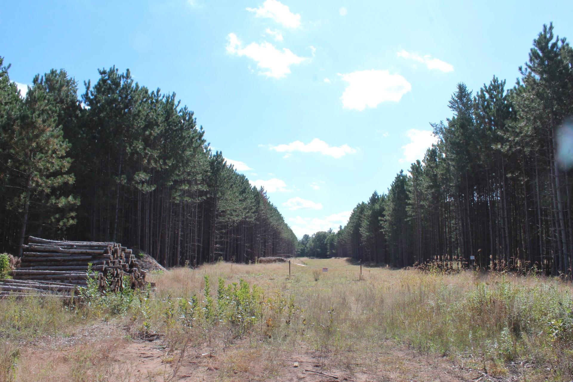 XXX Hay Creek Blvd, Grantsburg, WI 54840