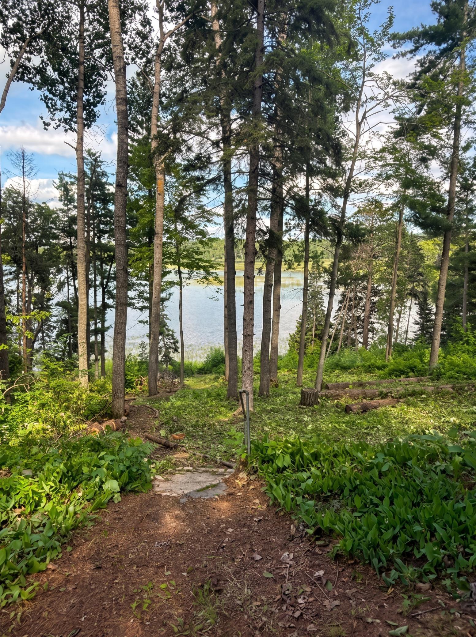 18585 Natures Edge Dr, Lake George, MN 56458