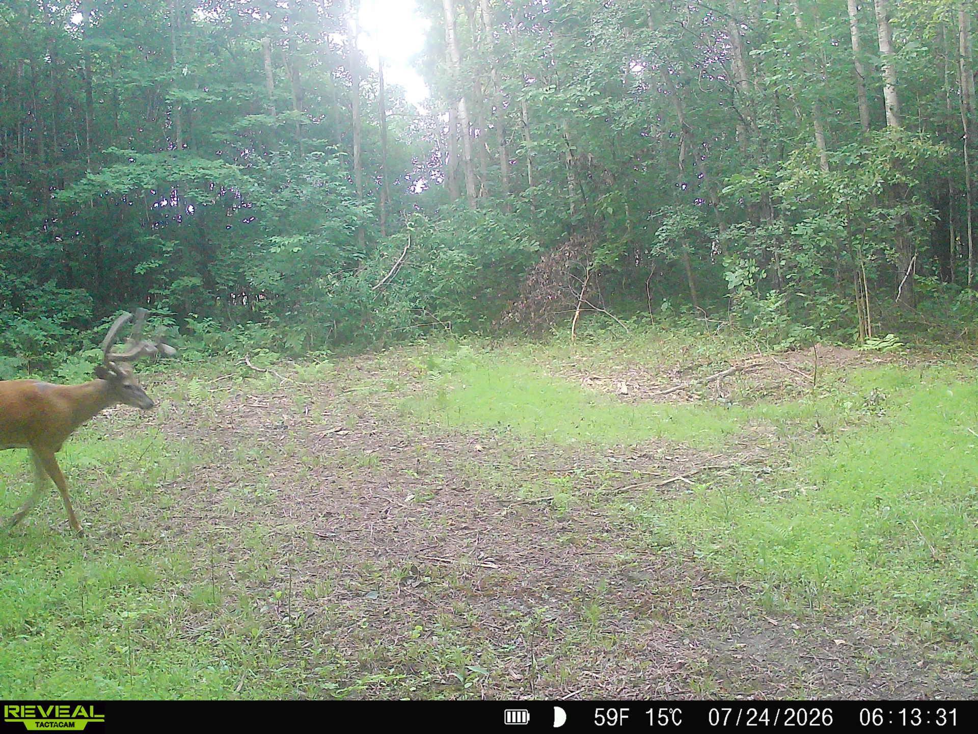 Lot 2 CSM 7522 4th St, Clayton, WI 54004