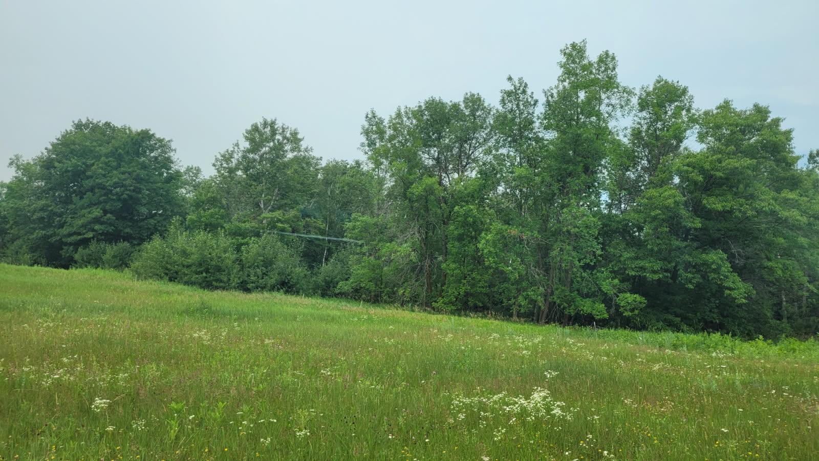 1560 8th St NE, Pine River, MN 56474