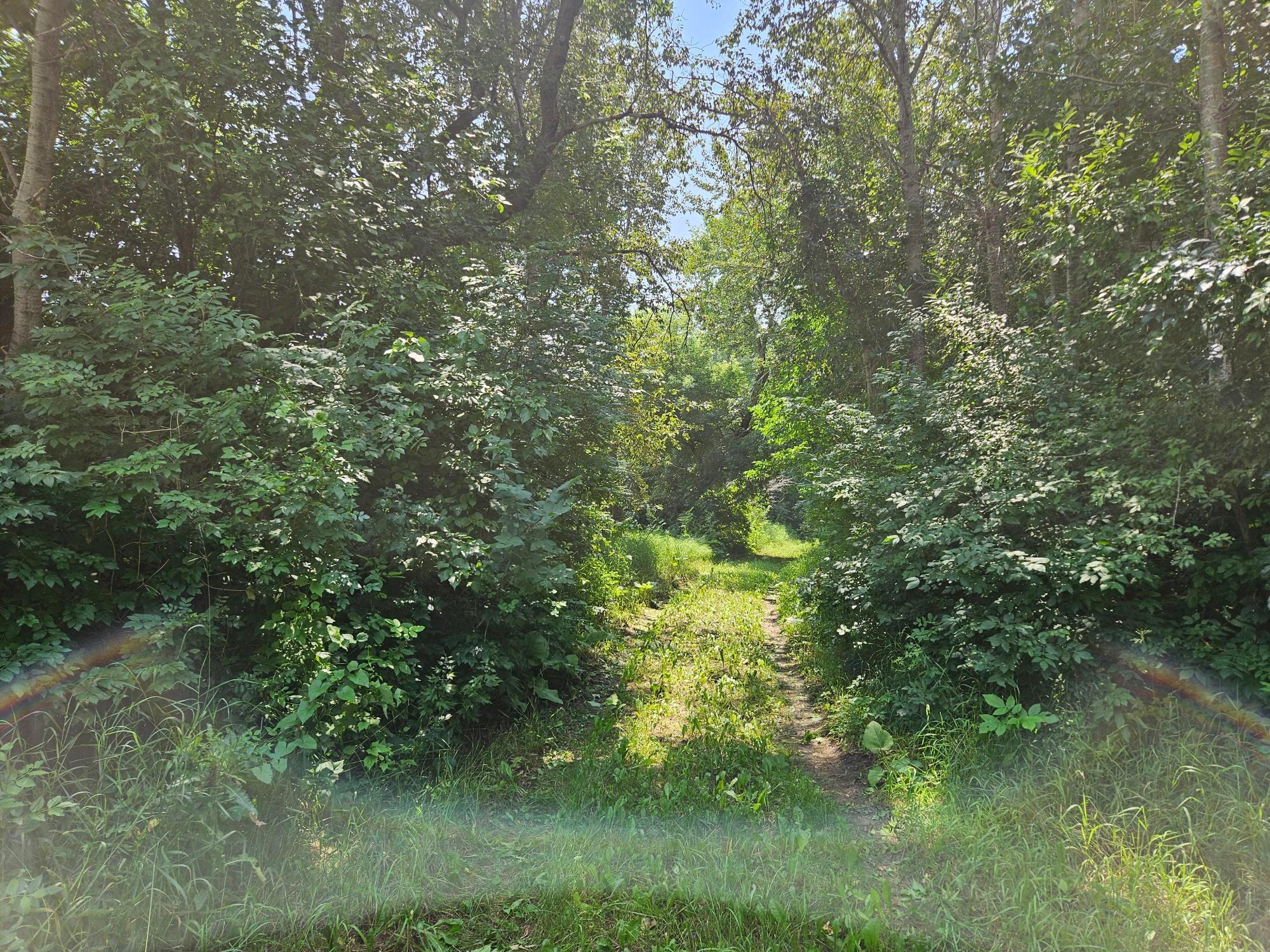 11752 220th St SE, Red Lake Falls, MN 56750