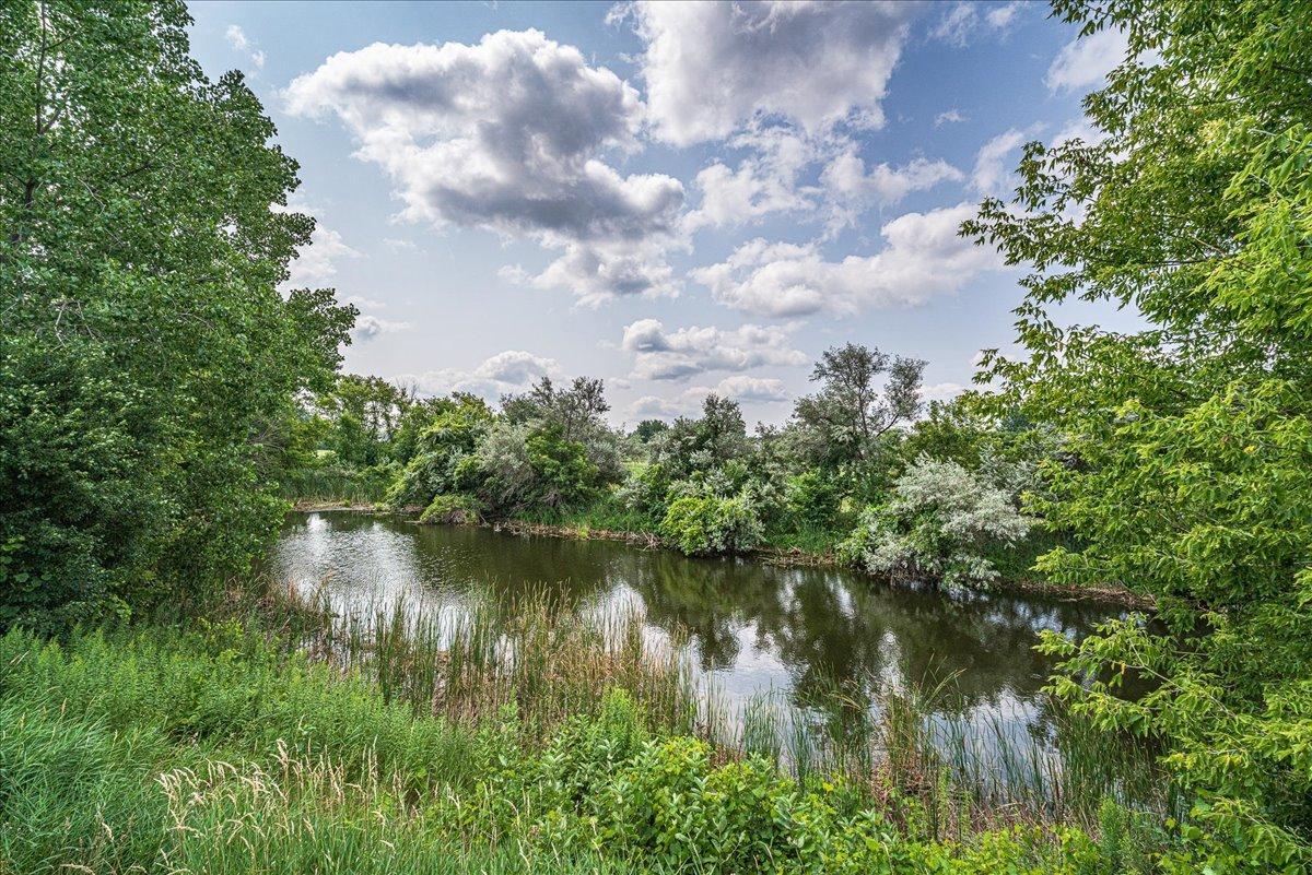 18037 96th Ave N, Maple Grove, MN 55311