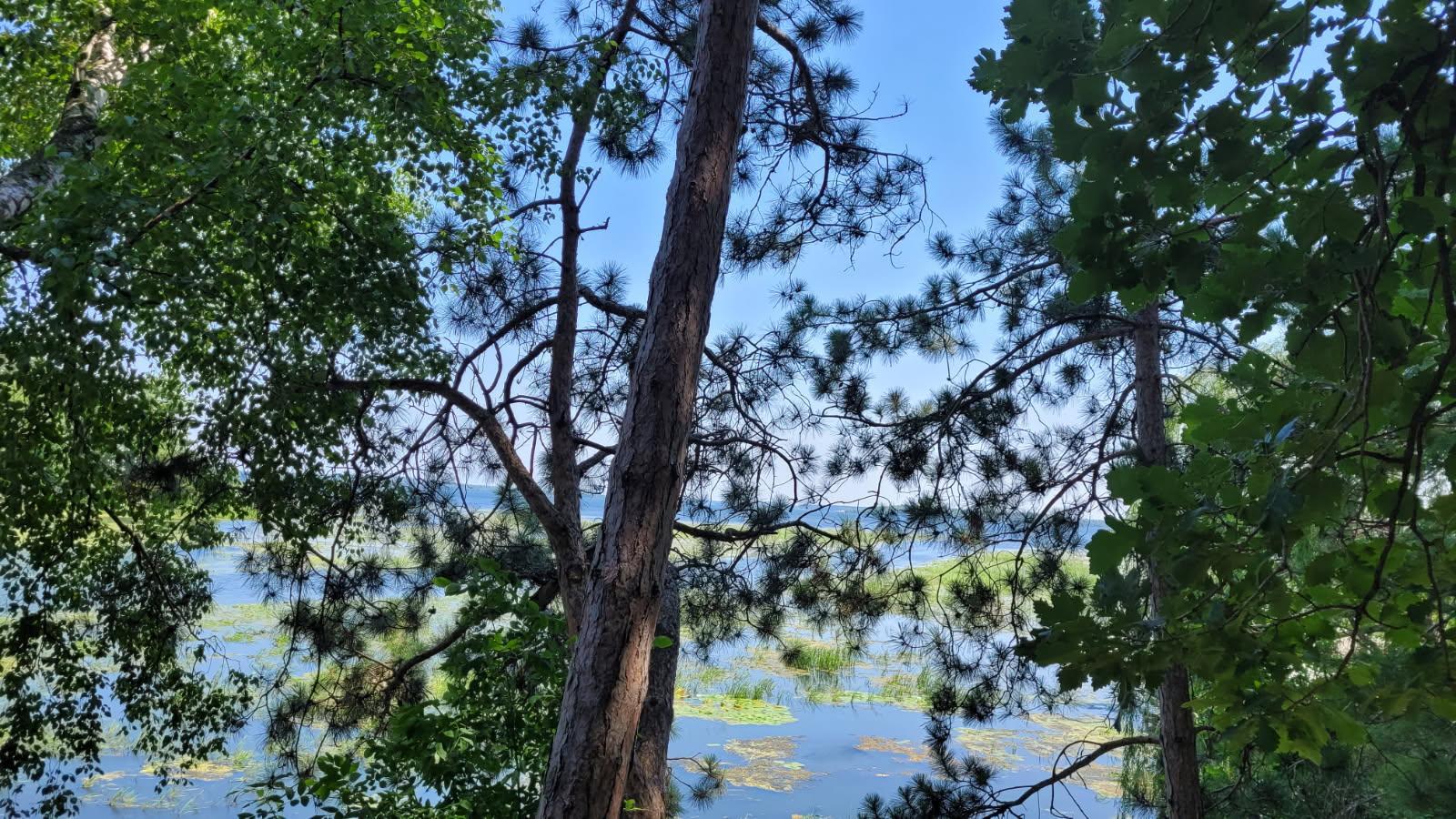 36803 Pine Knolls Cir, Pine River, MN 56474
