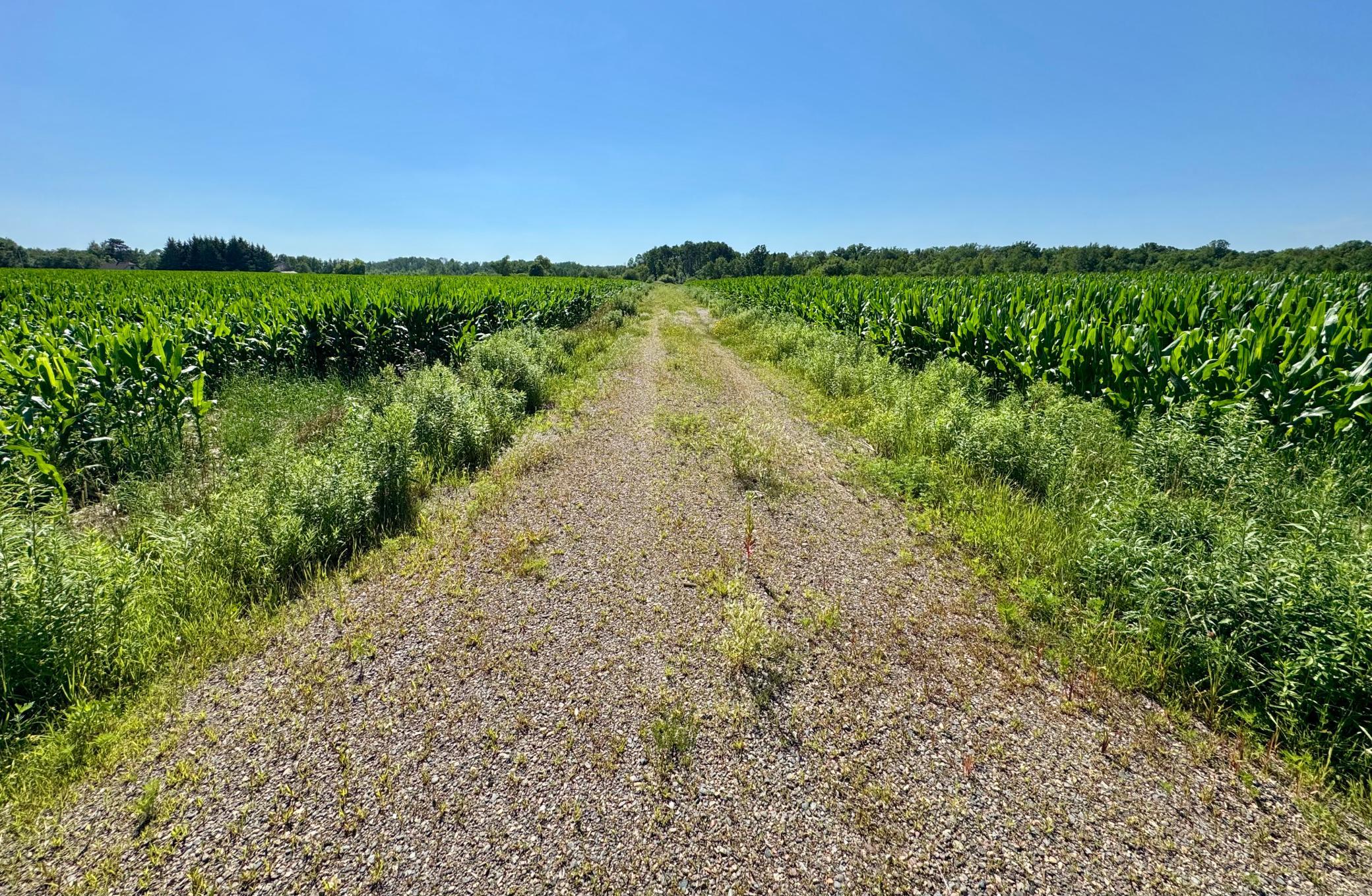 17891 90th Ave, Milaca, MN 56353