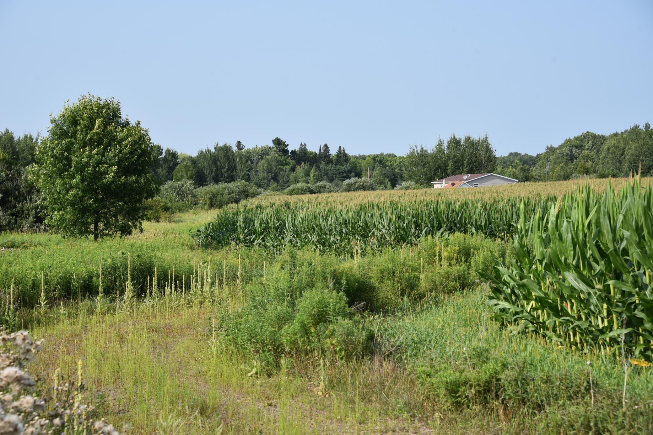 17891 90th Ave, Milaca, MN 56353