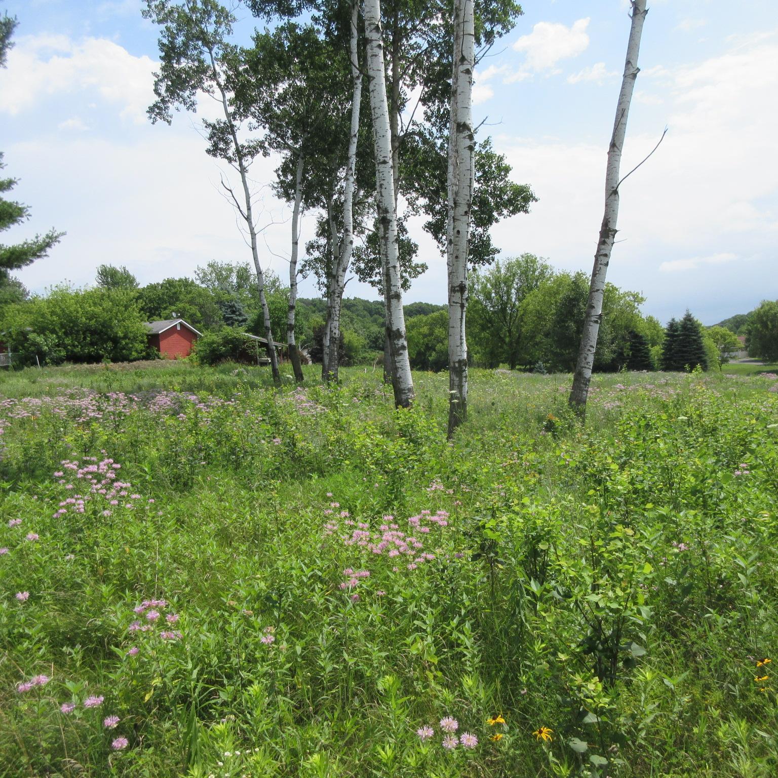 Lot 12 516th St, Menomonie, WI 54751