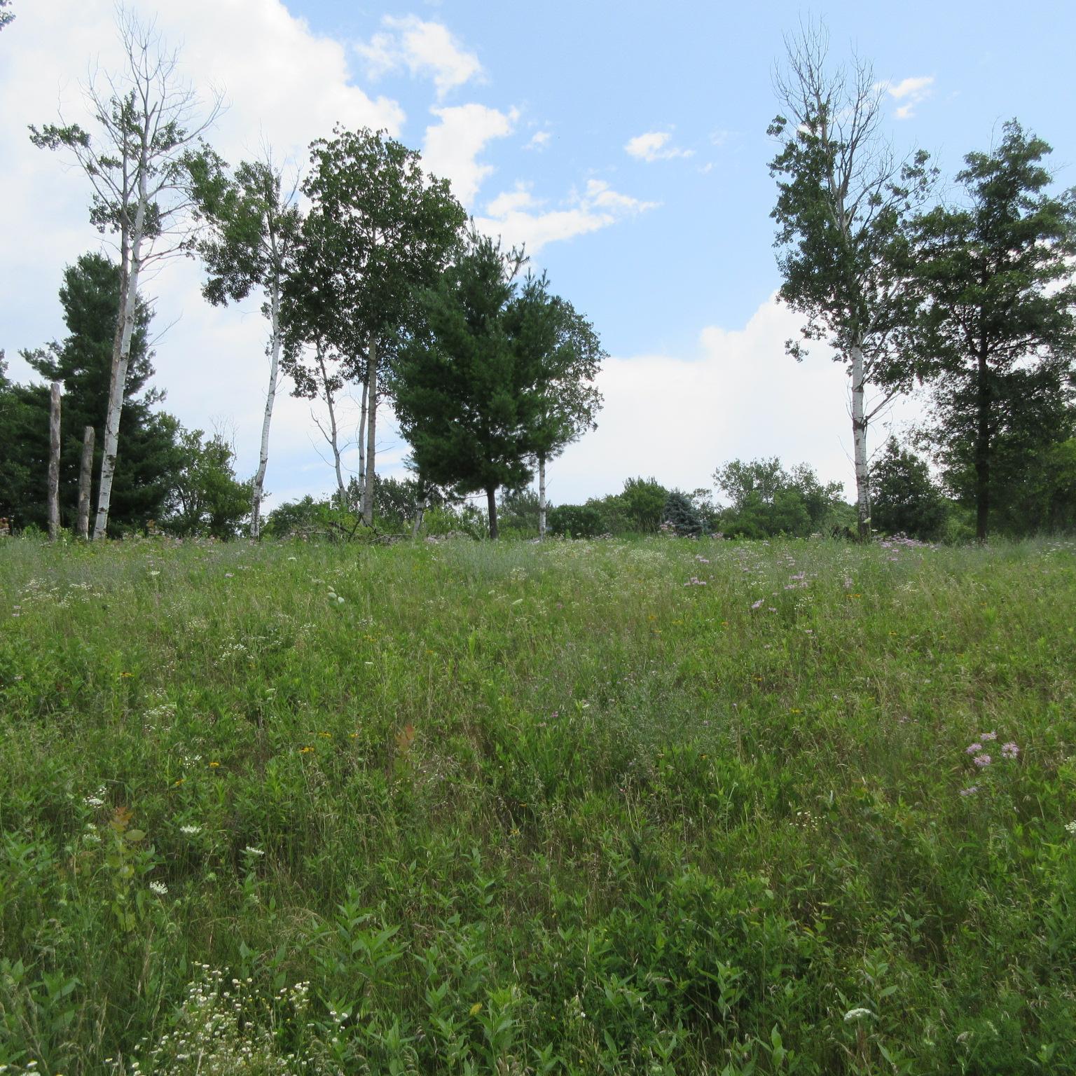 Lot 13 Street, Menomonie, WI 54751