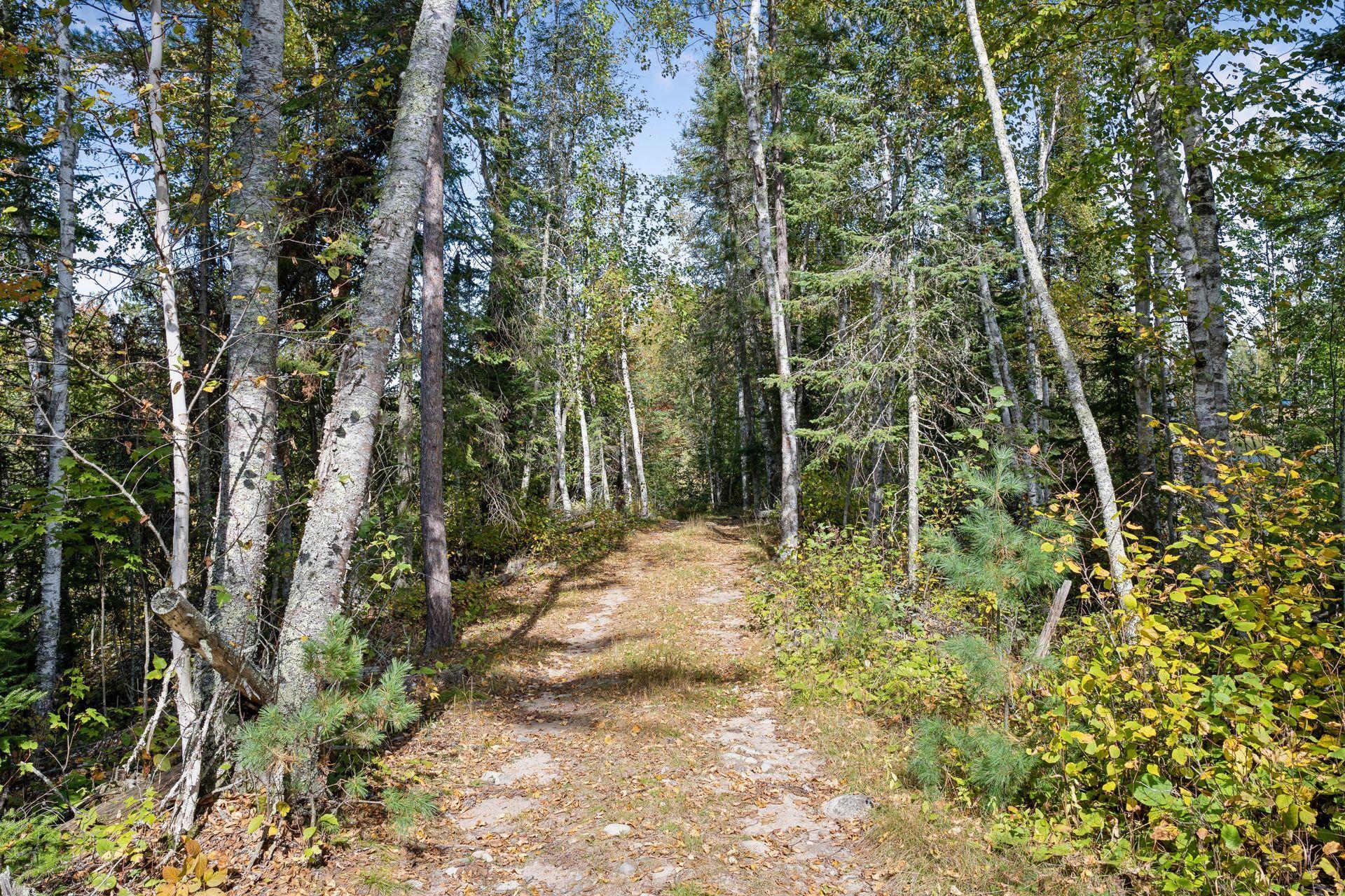 46xxx Smith Lake Rd, Marcell, MN 56657