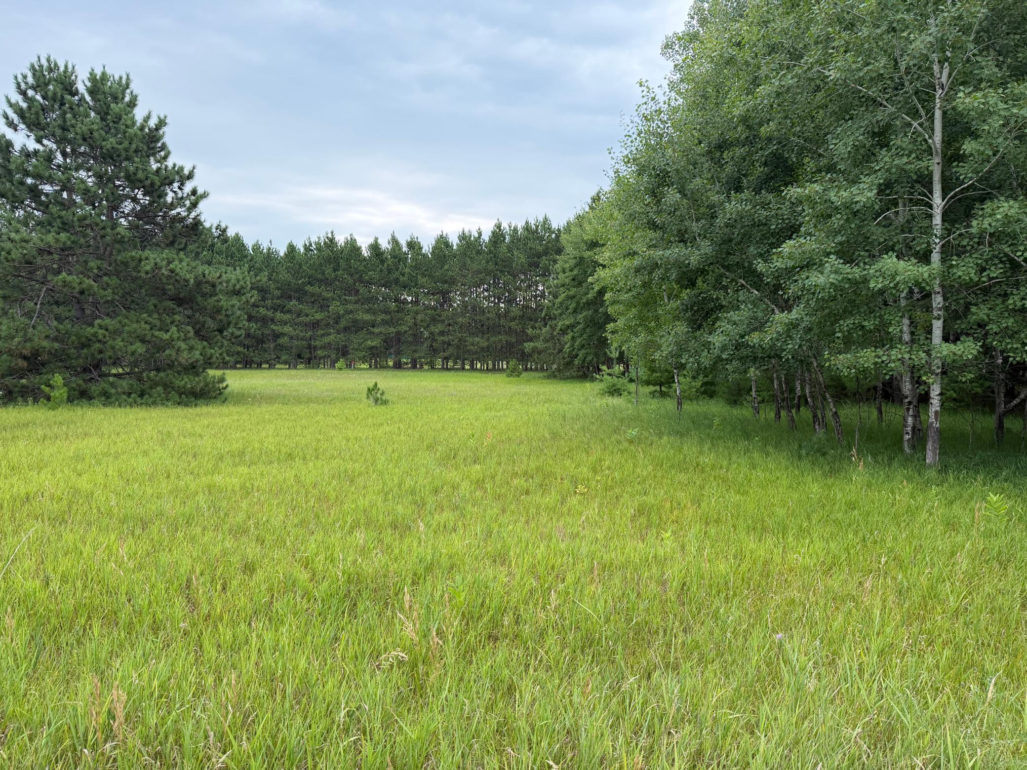 Lot 43 Hanscom Lake Trail Way, Danbury, WI 54830