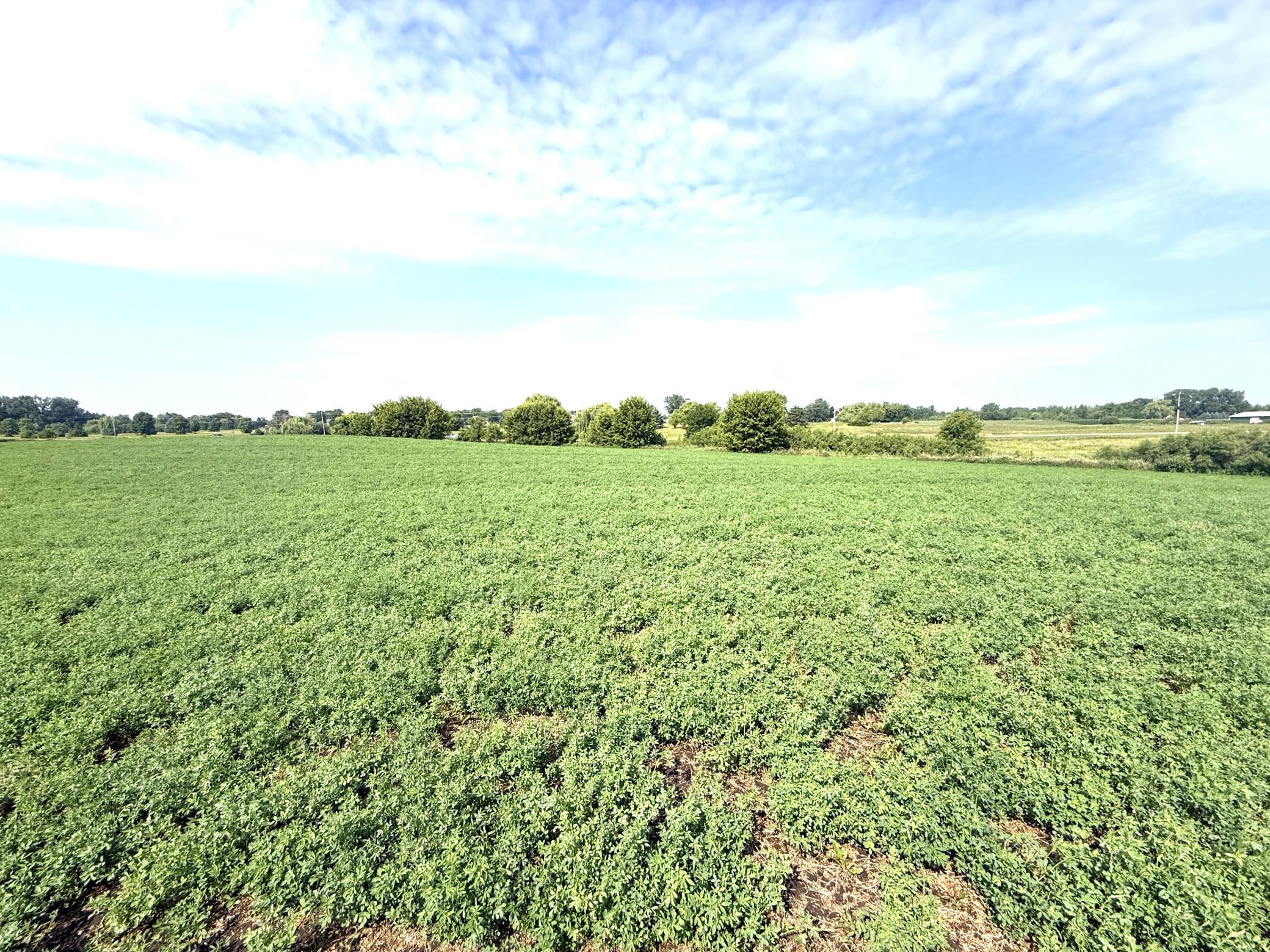 TBD County Road 7, Howard Lake, MN 55349