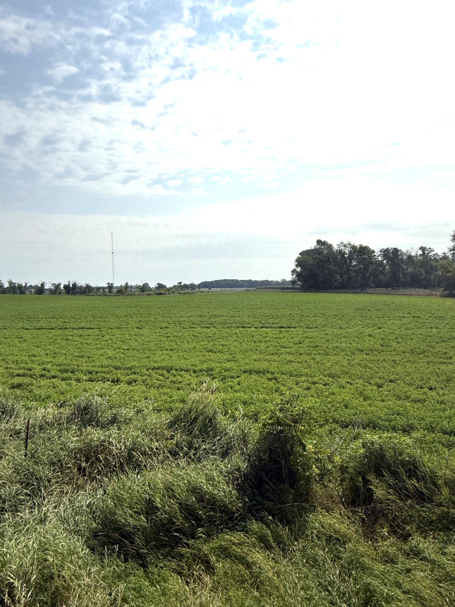 TBD County Road 7, Howard Lake, MN 55349