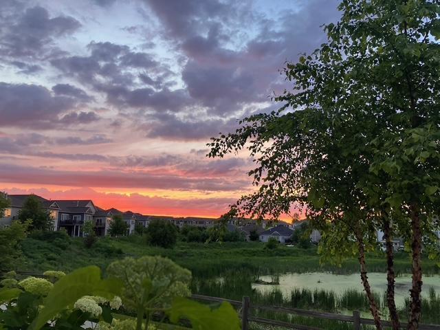 860 Roselyn Dr, Victoria, MN 55386
