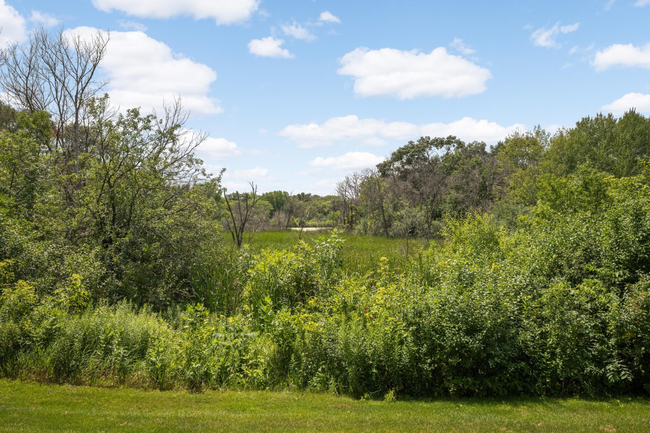 17043 Kerrick Ct, Lakeville, MN 55044