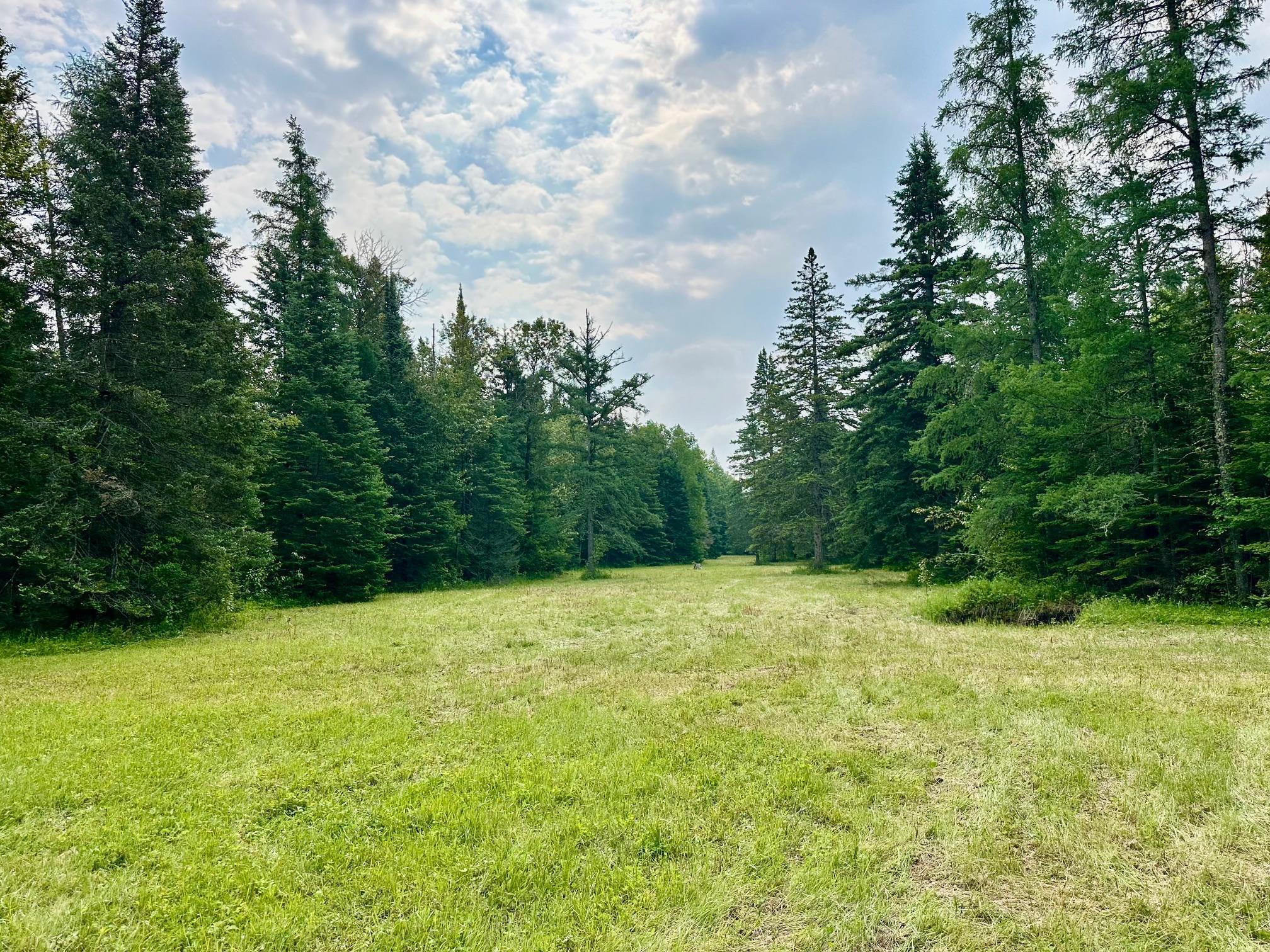 5795 Aichele Rd SW, Williams, MN 56686