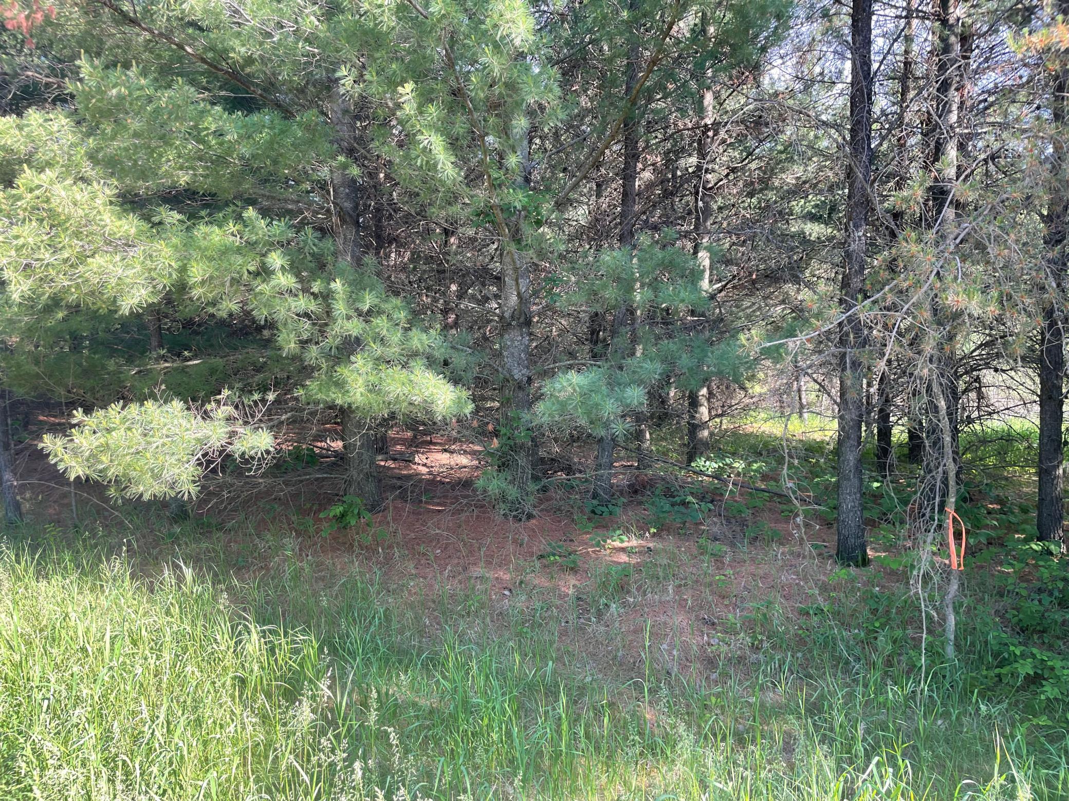 11XX 1st Ave NW, Pine City, MN 55063