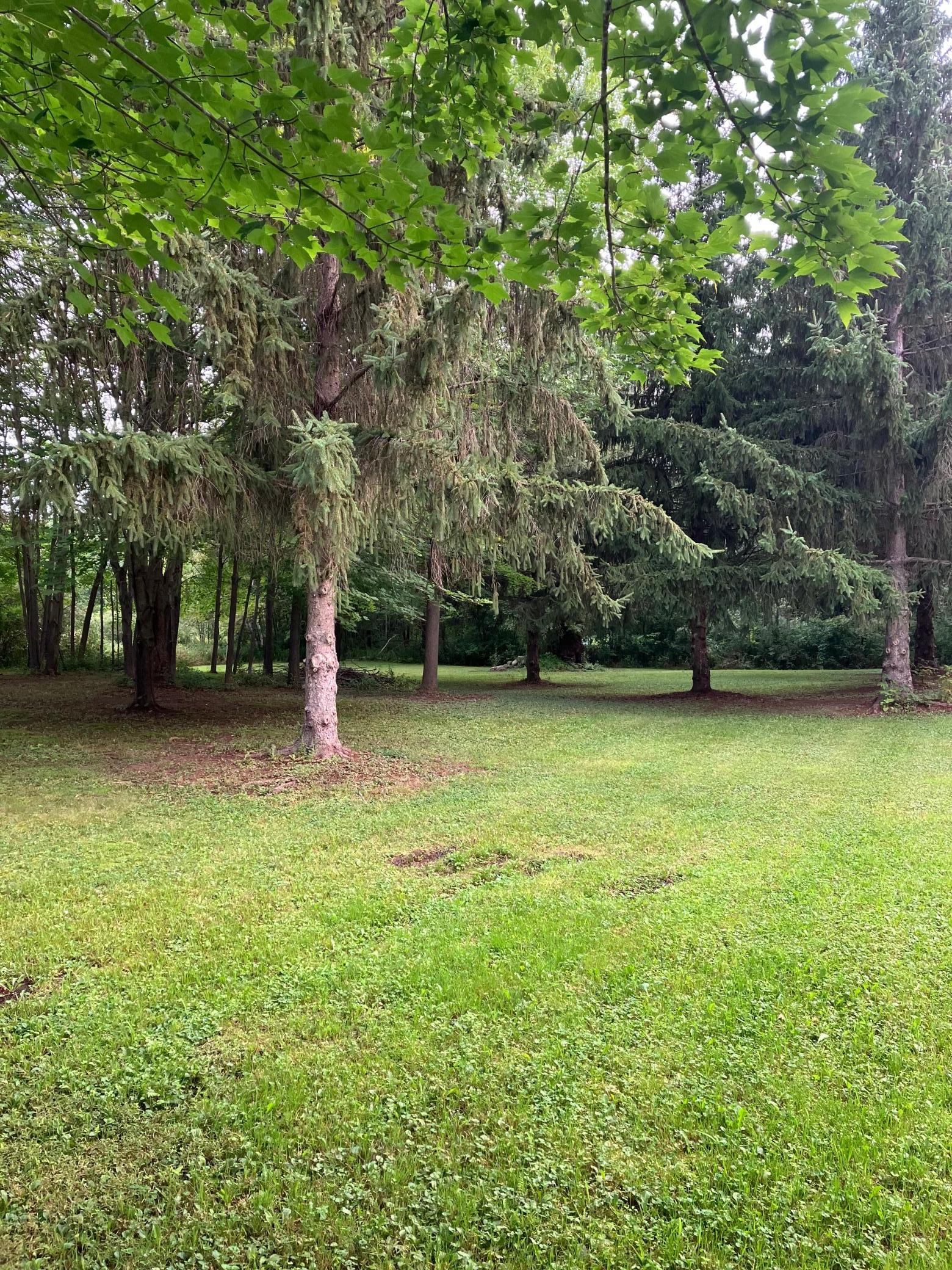 11XX 1st Ave NW, Pine City, MN 55063