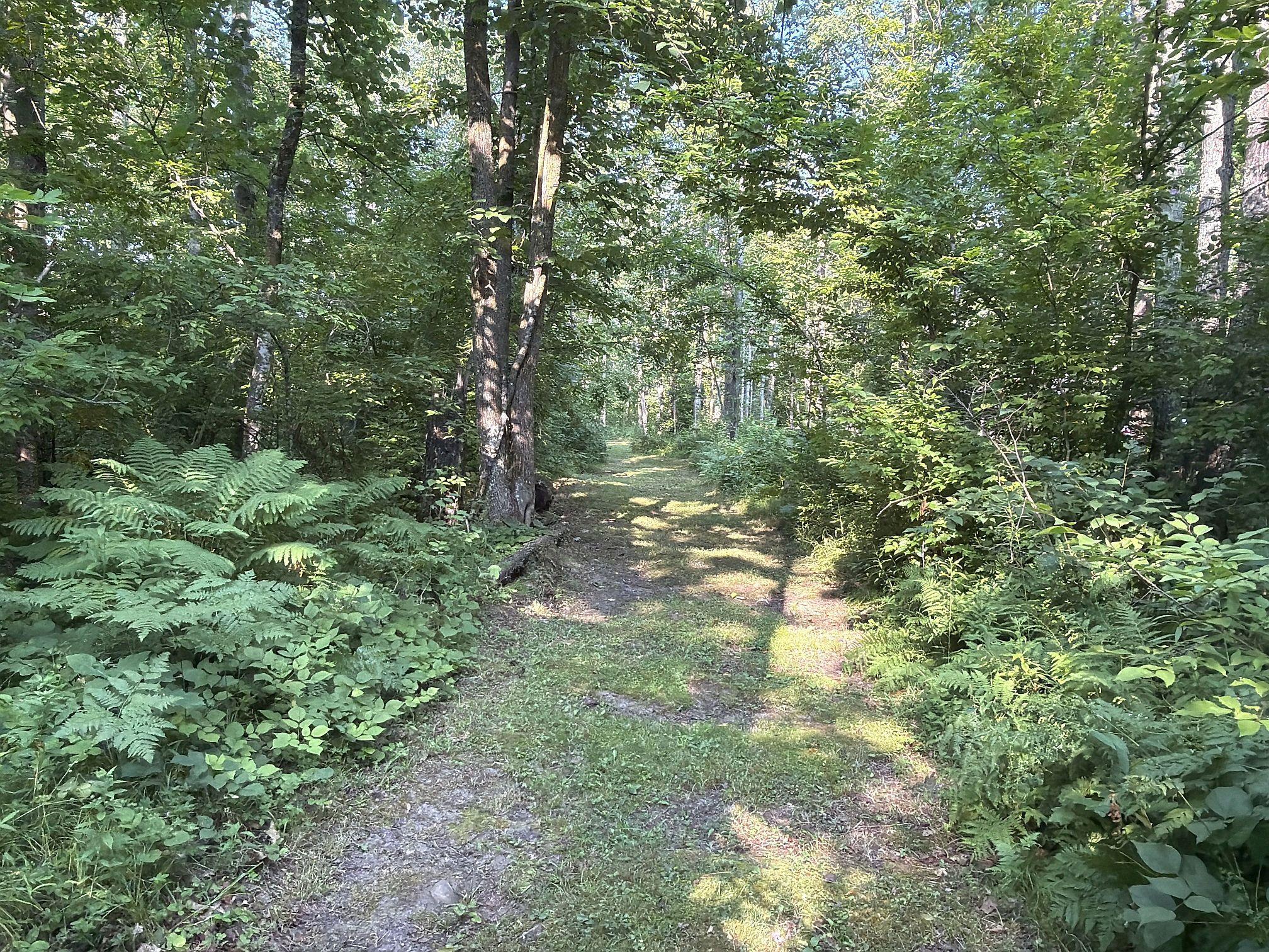 W9527 Mile Rd, Ladysmith, WI 54848