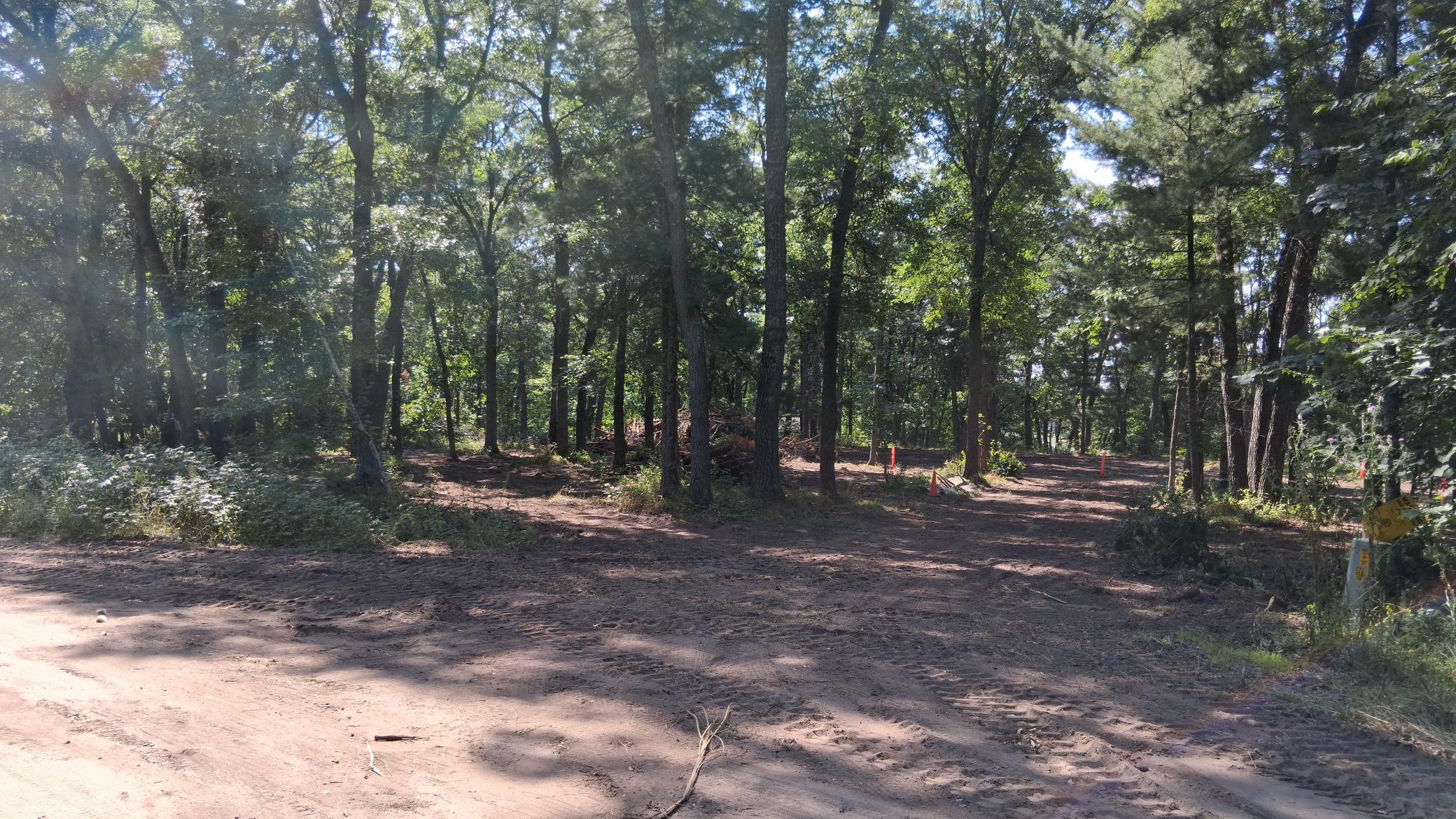 38903 Odin Ct, Browerville, MN 56438