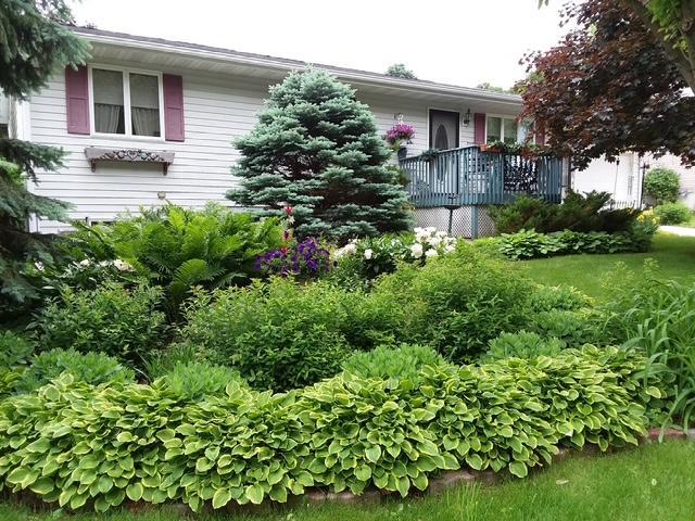 708 N Sprague St, Caledonia, MN 55921