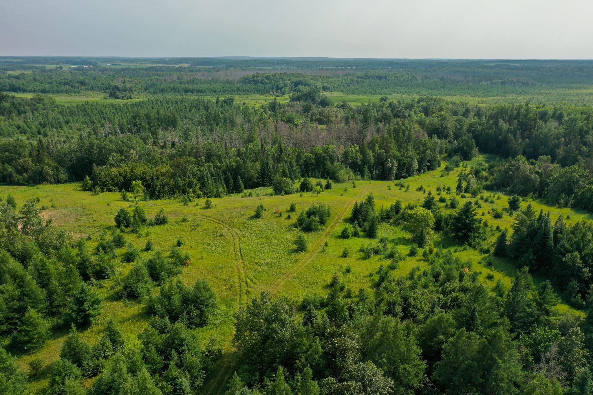 TBD Wilderness Dr, Frazee, MN 56544