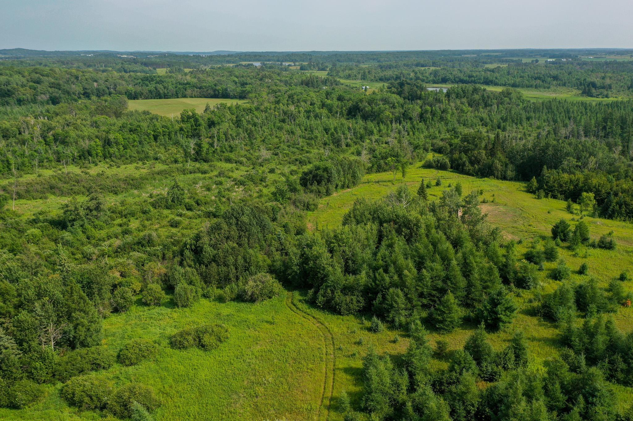 TBD Wilderness Dr, Frazee, MN 56544