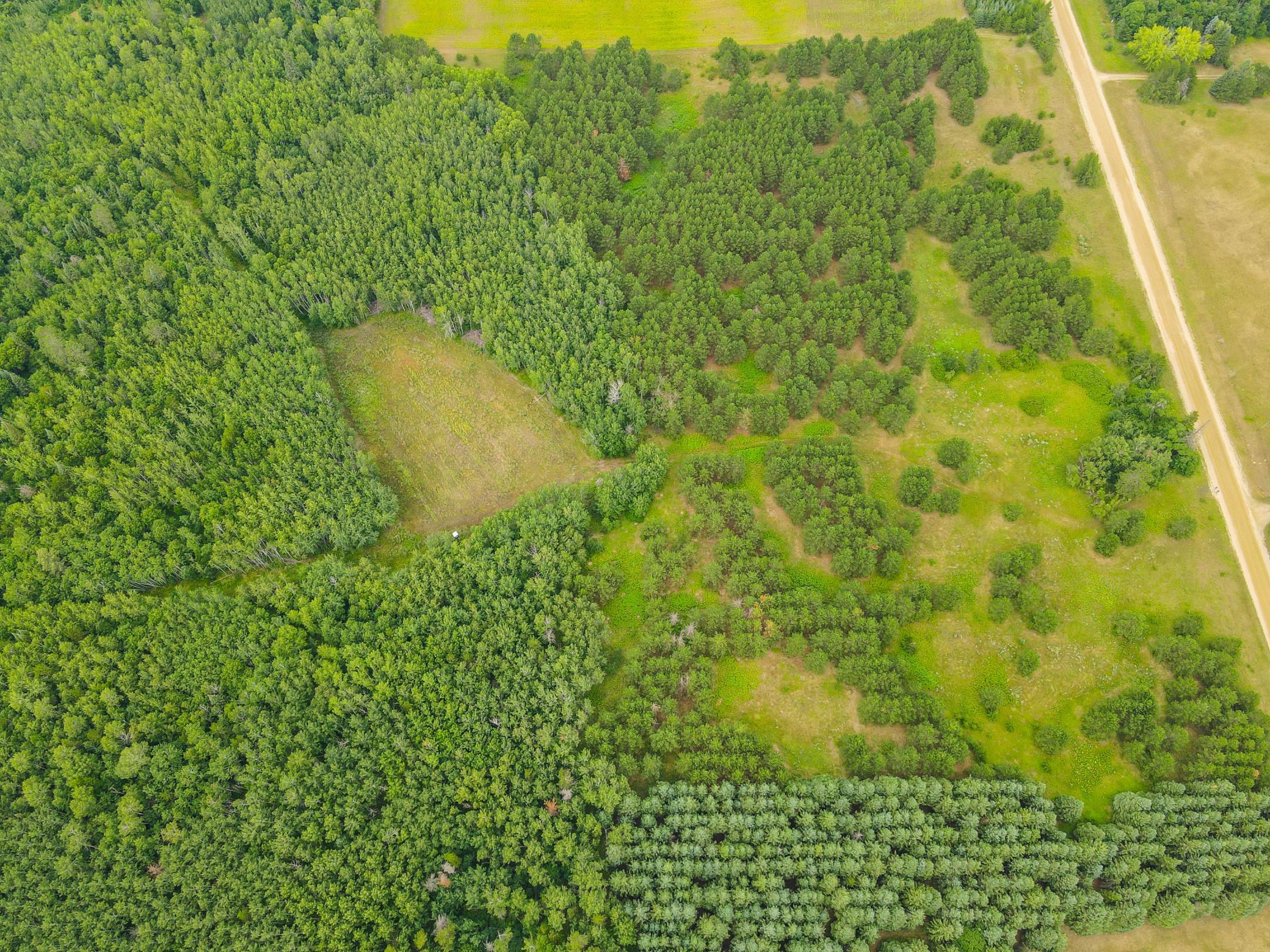 TBD County Road 125, Park Rapids, MN 56470