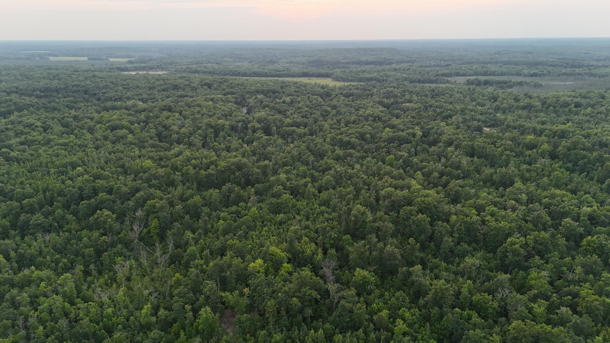 68xxx Old Ferry Rd, Hinckley, MN 55037