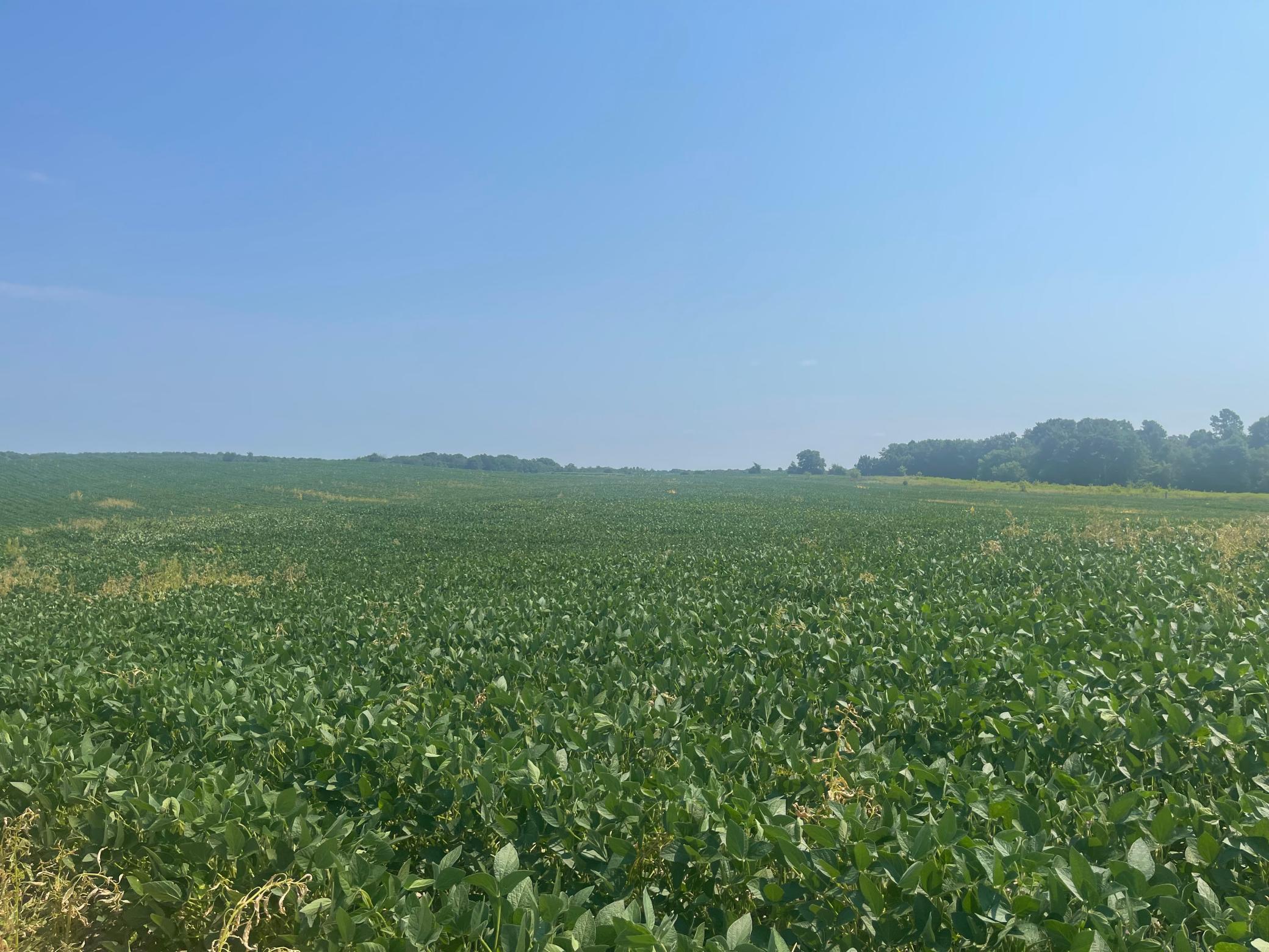 XXX 190th St, Centuria, WI 54824