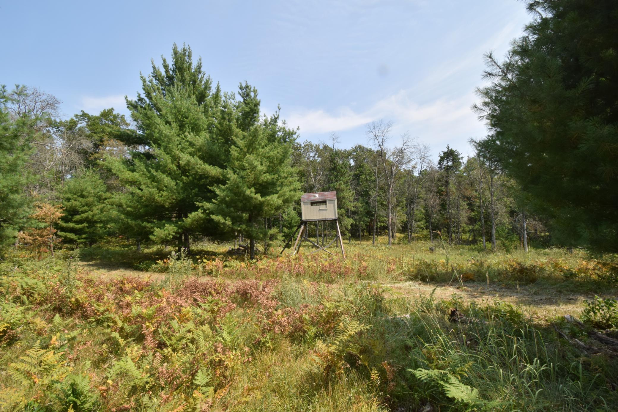 Lot 1 Pleasant Acres Trl, Danbury, WI 54830