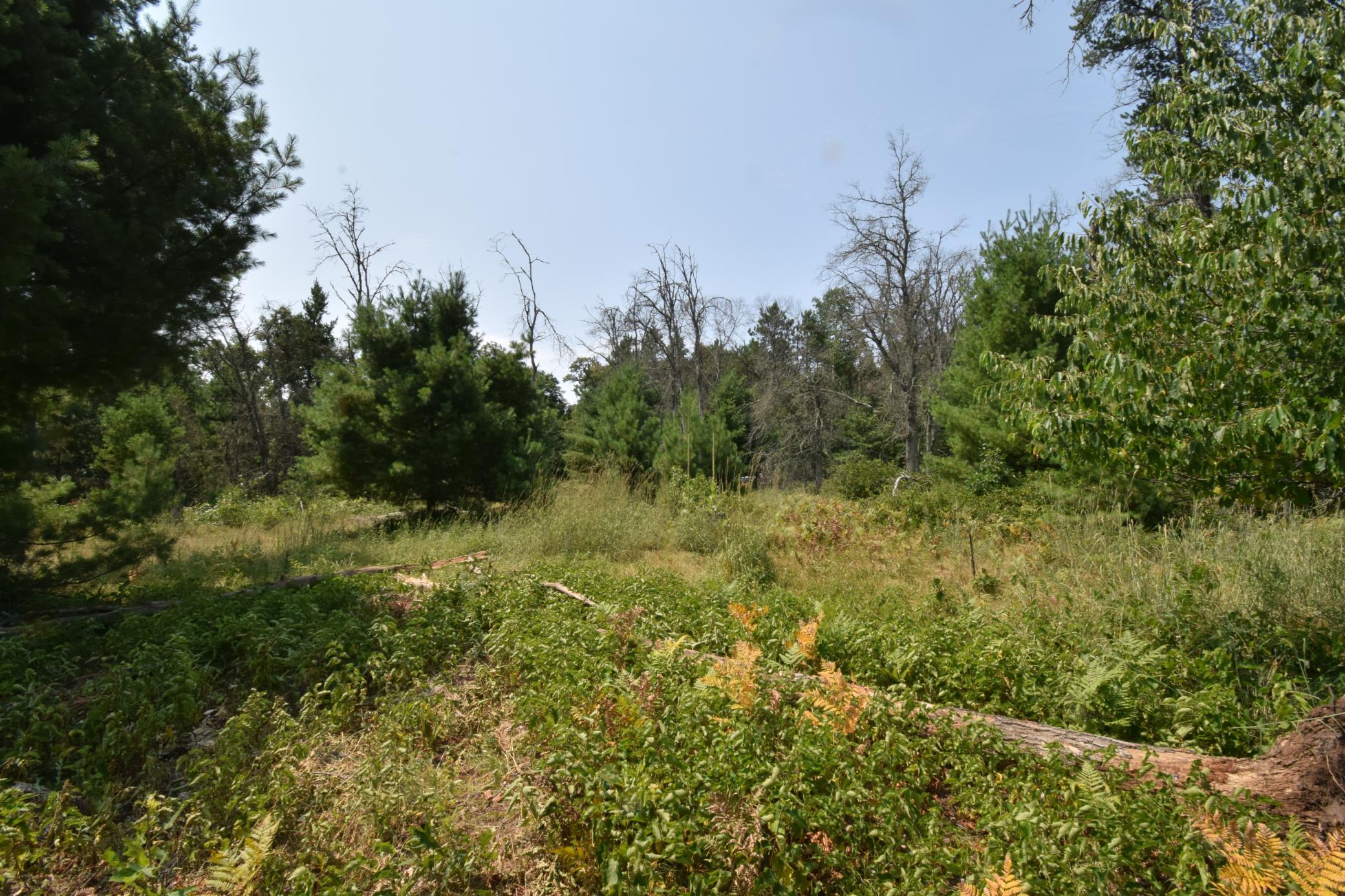 Lot 1 Pleasant Acres Trl, Danbury, WI 54830