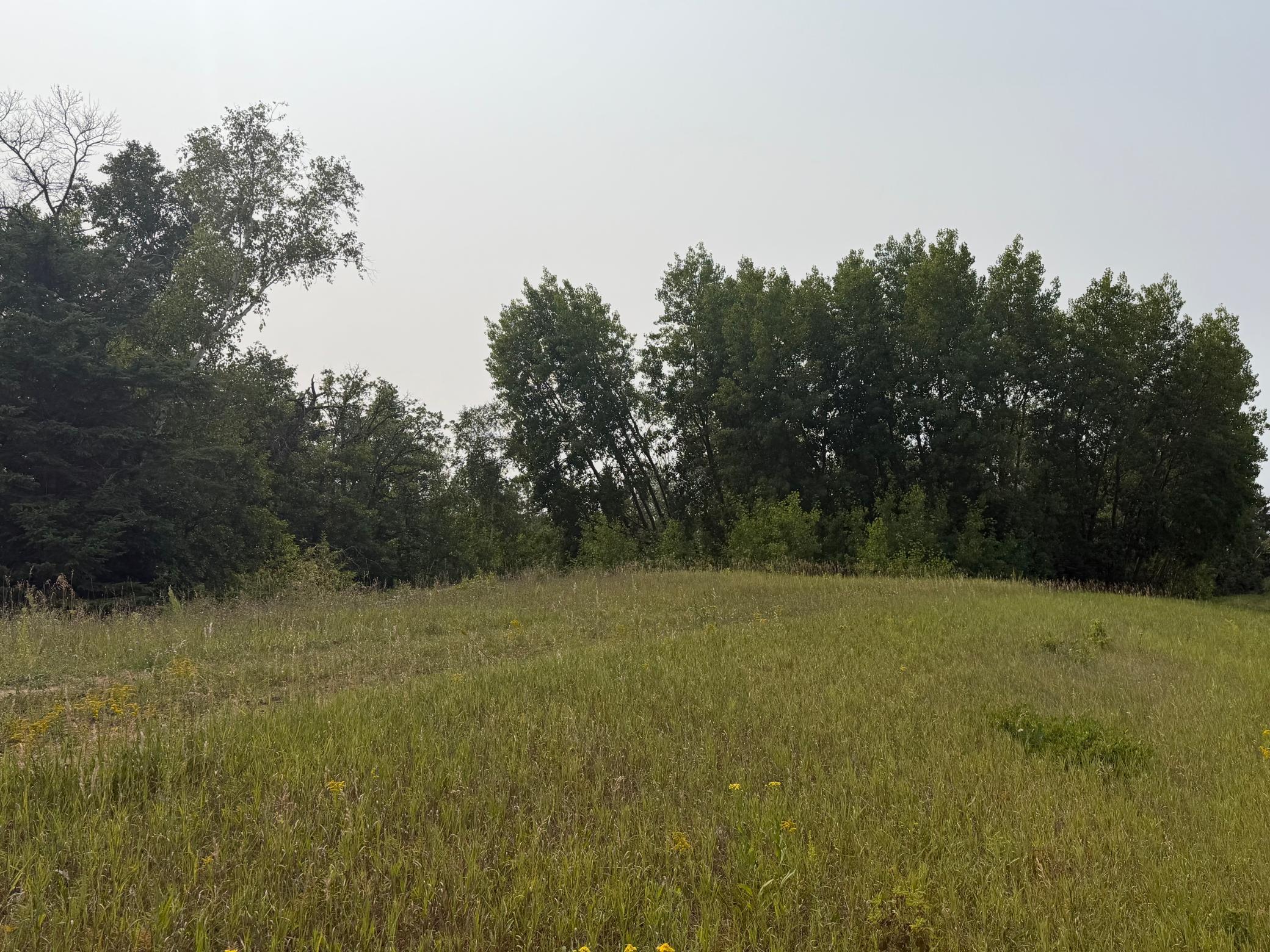 TBD Del's Ct NE, Bemidji, MN 56601