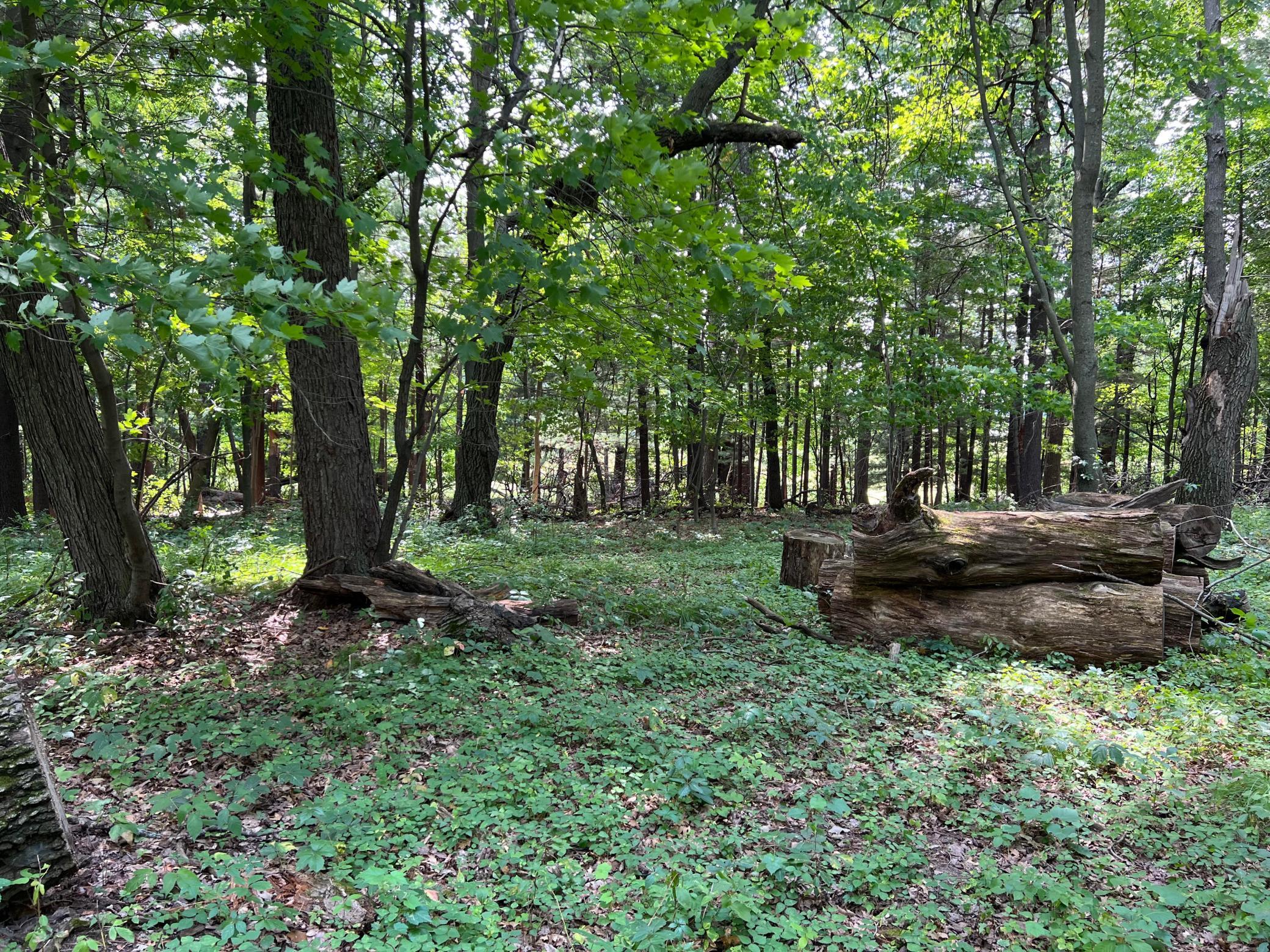TBD Elmcrest Ave, Stacy, MN 55079