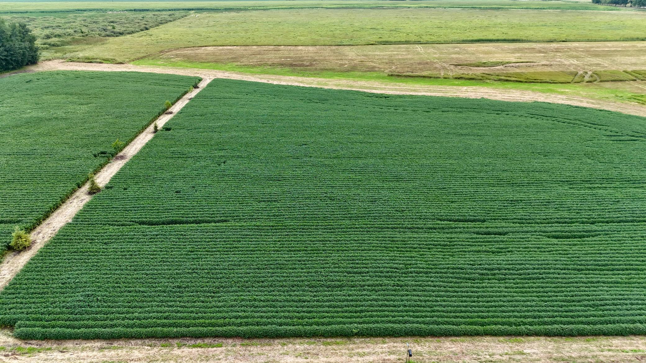 TBD 115th St NE, Foley, MN 56329