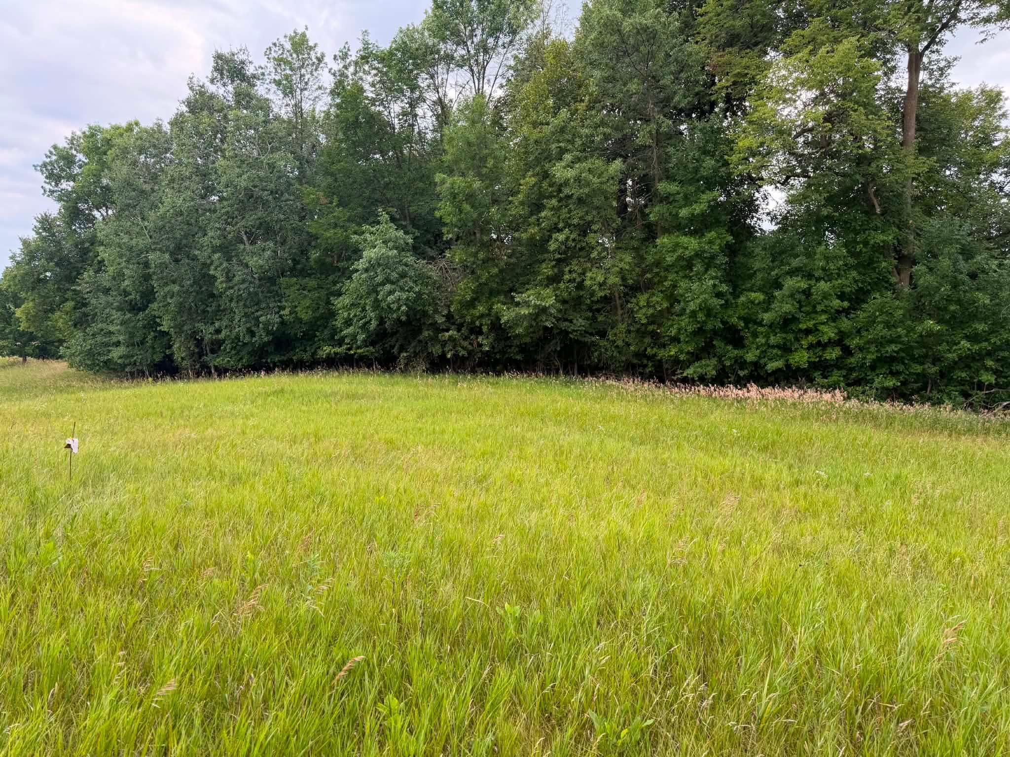 TBD 405th Ave NW, Braham, MN 55006