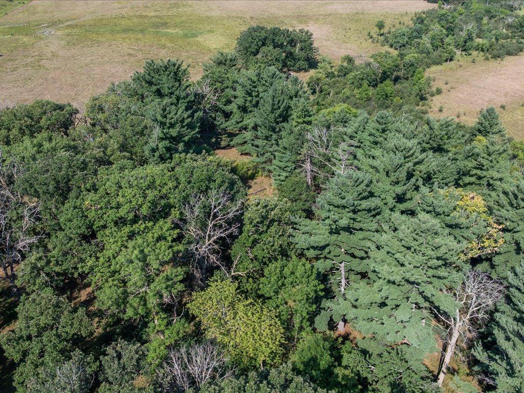 tbd 40 acre State 210, Pillager, MN 56473