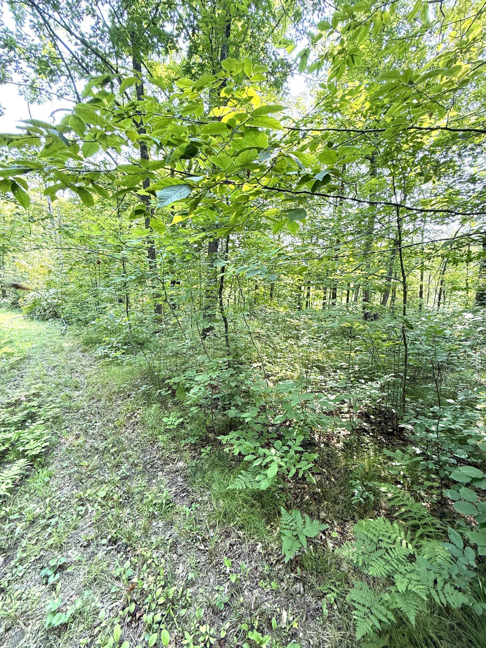 26855 Ross Lake Rd, Aitkin, MN 56431