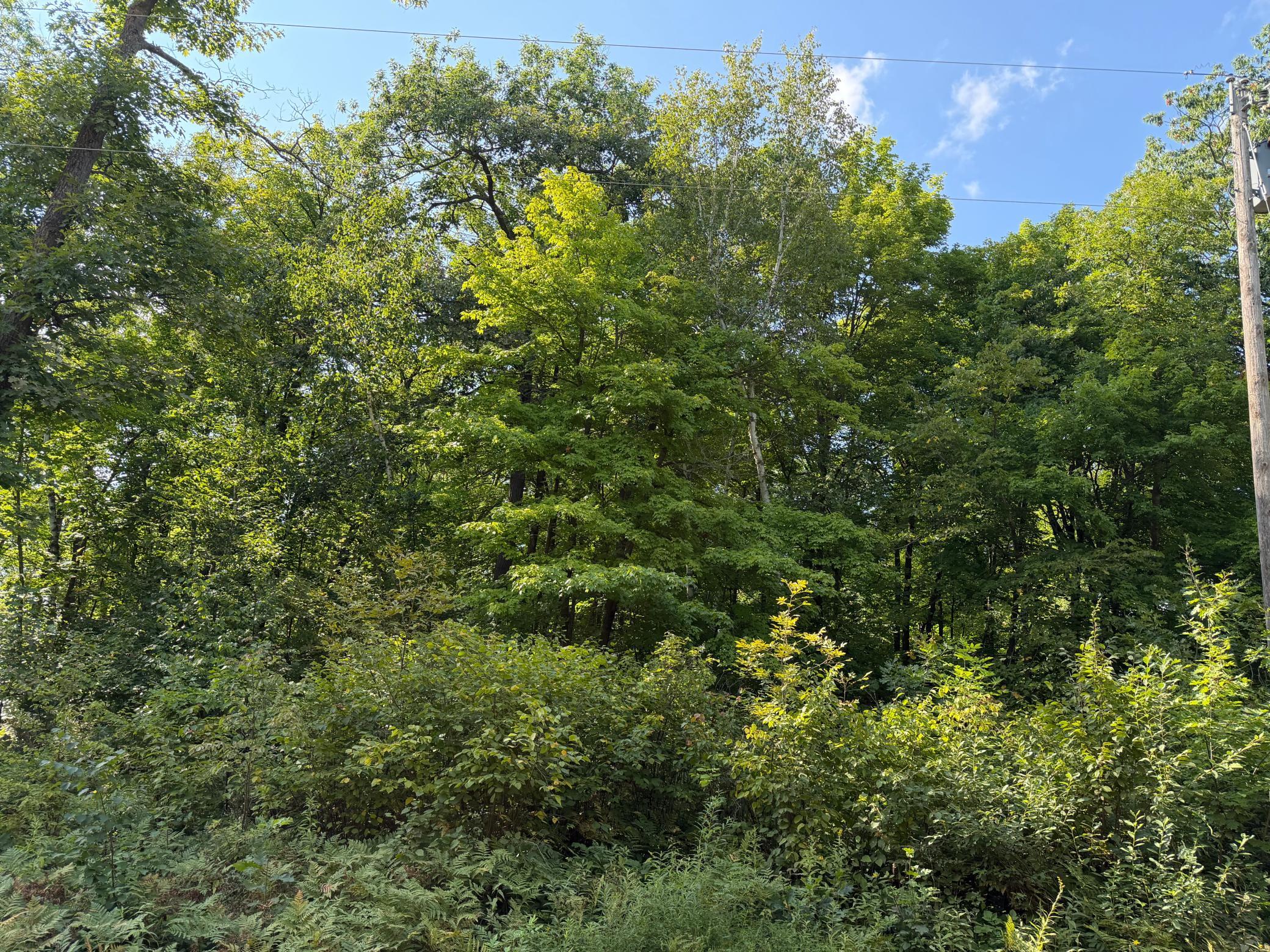 25XXX Eagle Ridge Rd, Aitkin, MN 56431