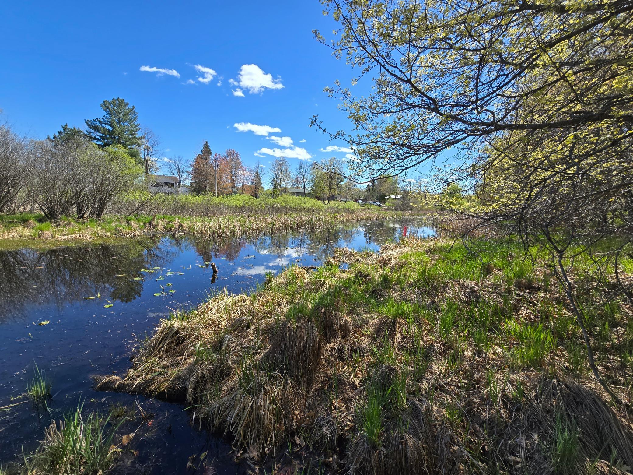 TBD NE West Fawn Lake Rd, Stacy, MN 55079