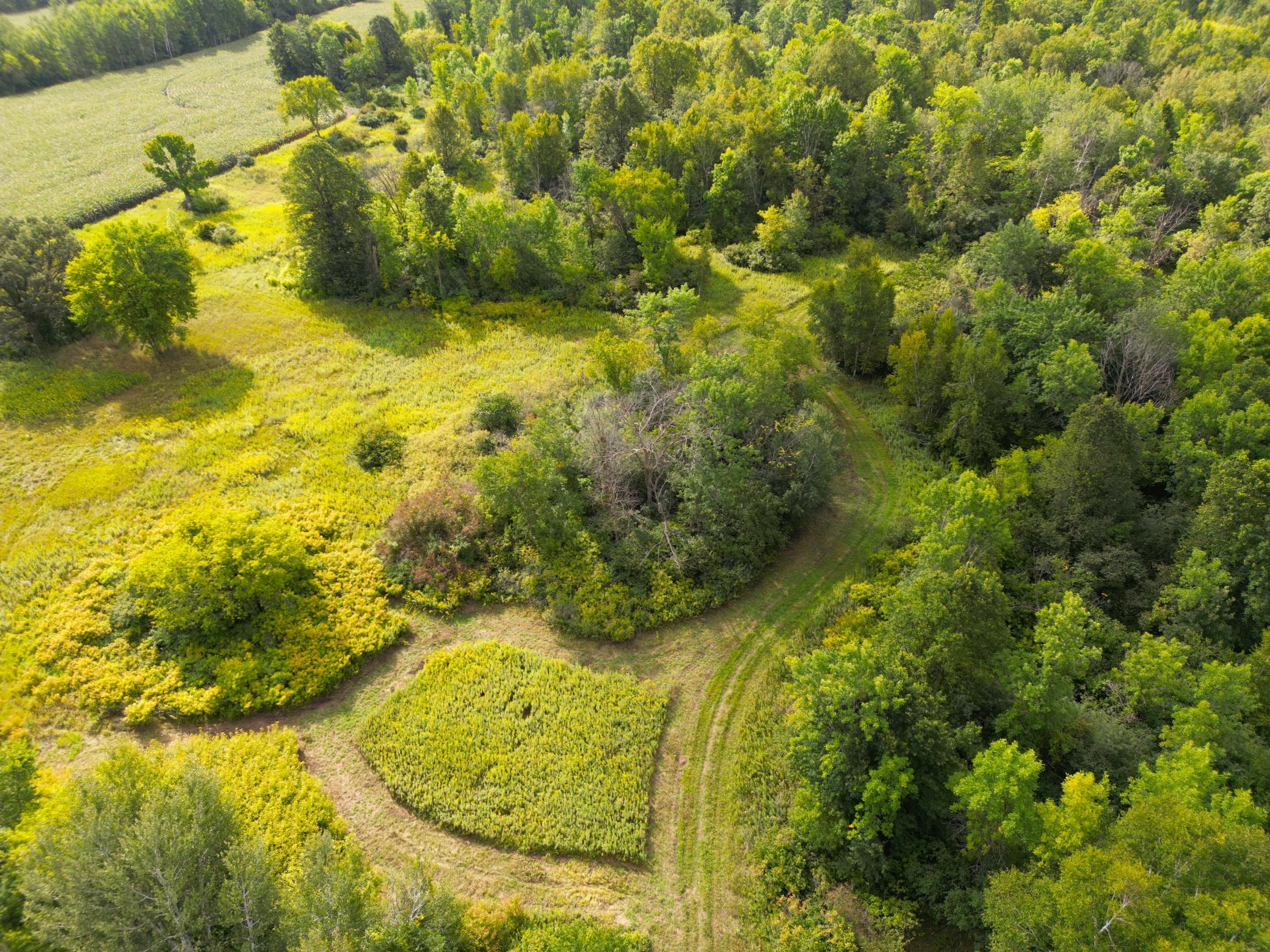 1XXX 150th Ave, Ogilvie, MN 56358