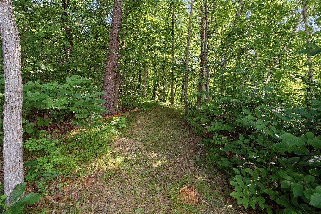 31594 Green Scene Dr, Breezy Point, MN 56472