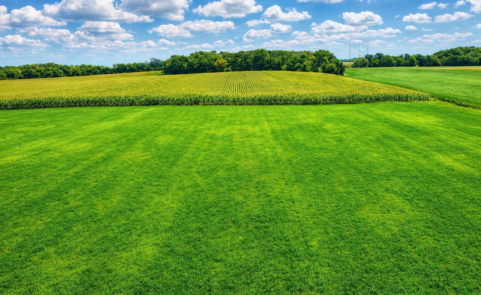 TBD Nicolai Ave, Hastings, MN 55033