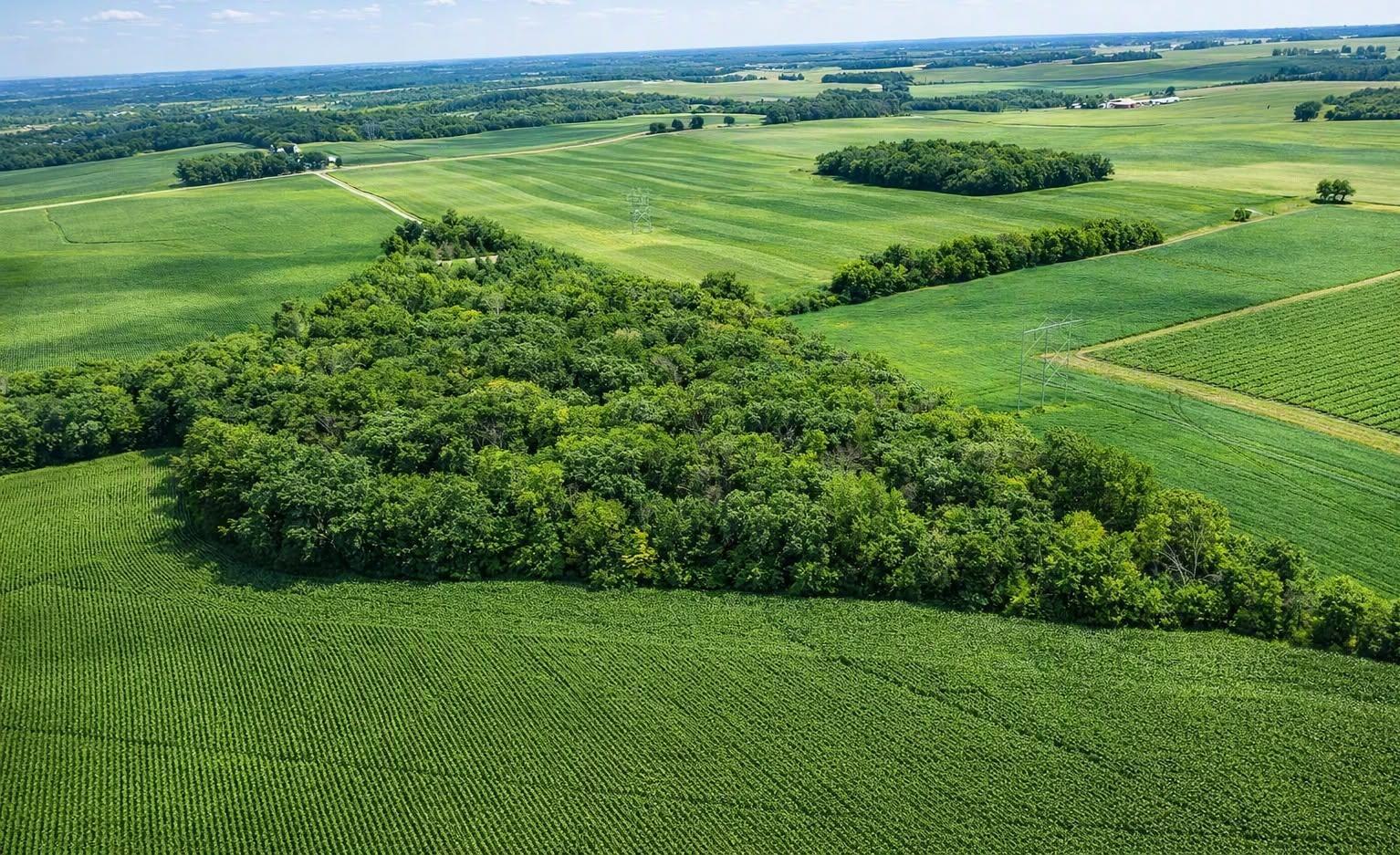 TBD Nicolai Ave, Hastings, MN 55033