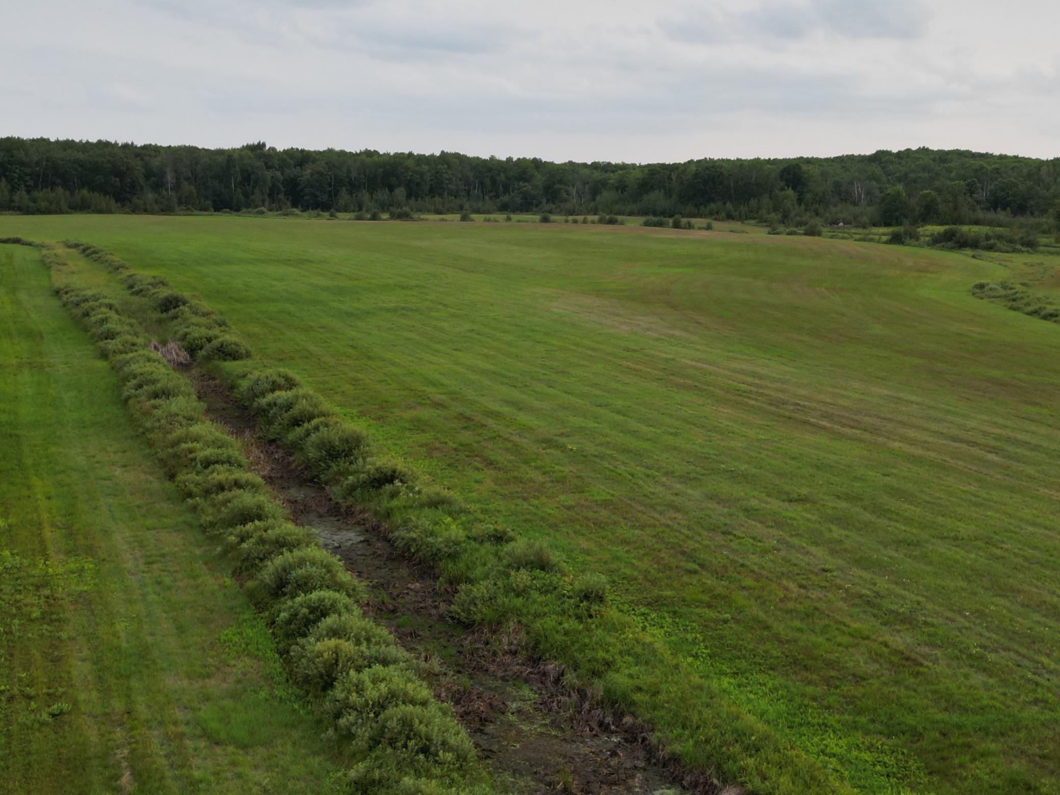 TBD 324th Ave, Pierz, MN 56364
