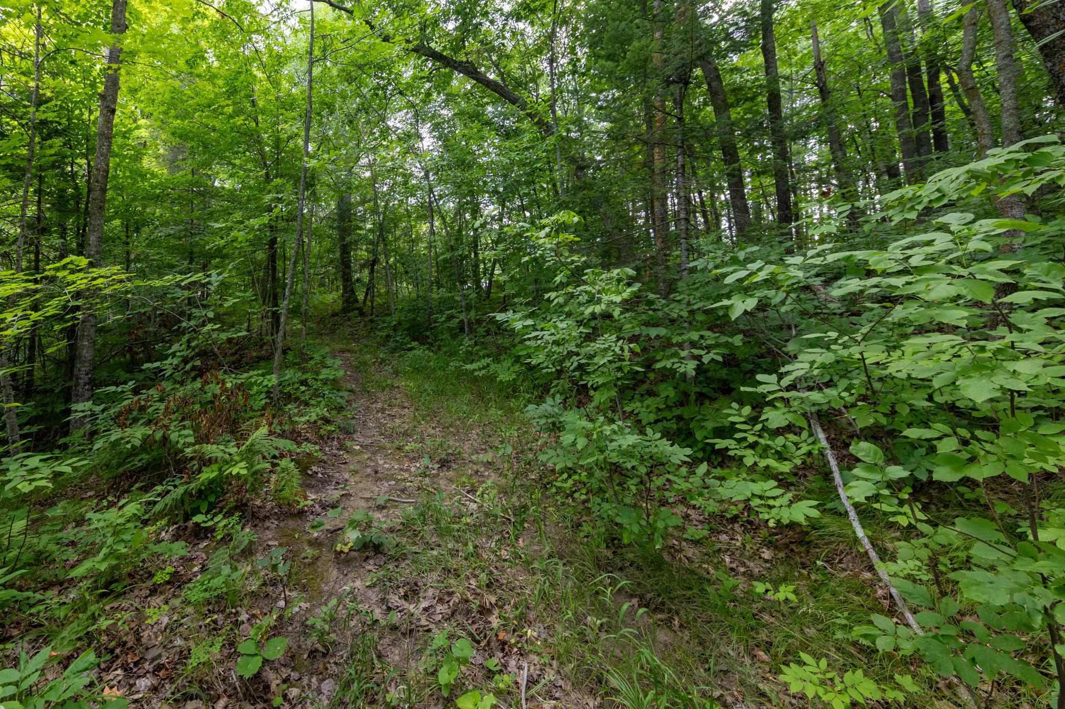 TBD Mn 18, Brainerd, MN 56401