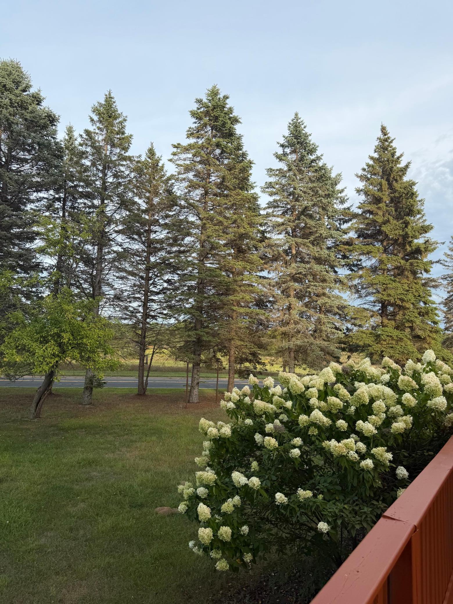 31 Old Constance Blvd NW, Andover, MN 55304